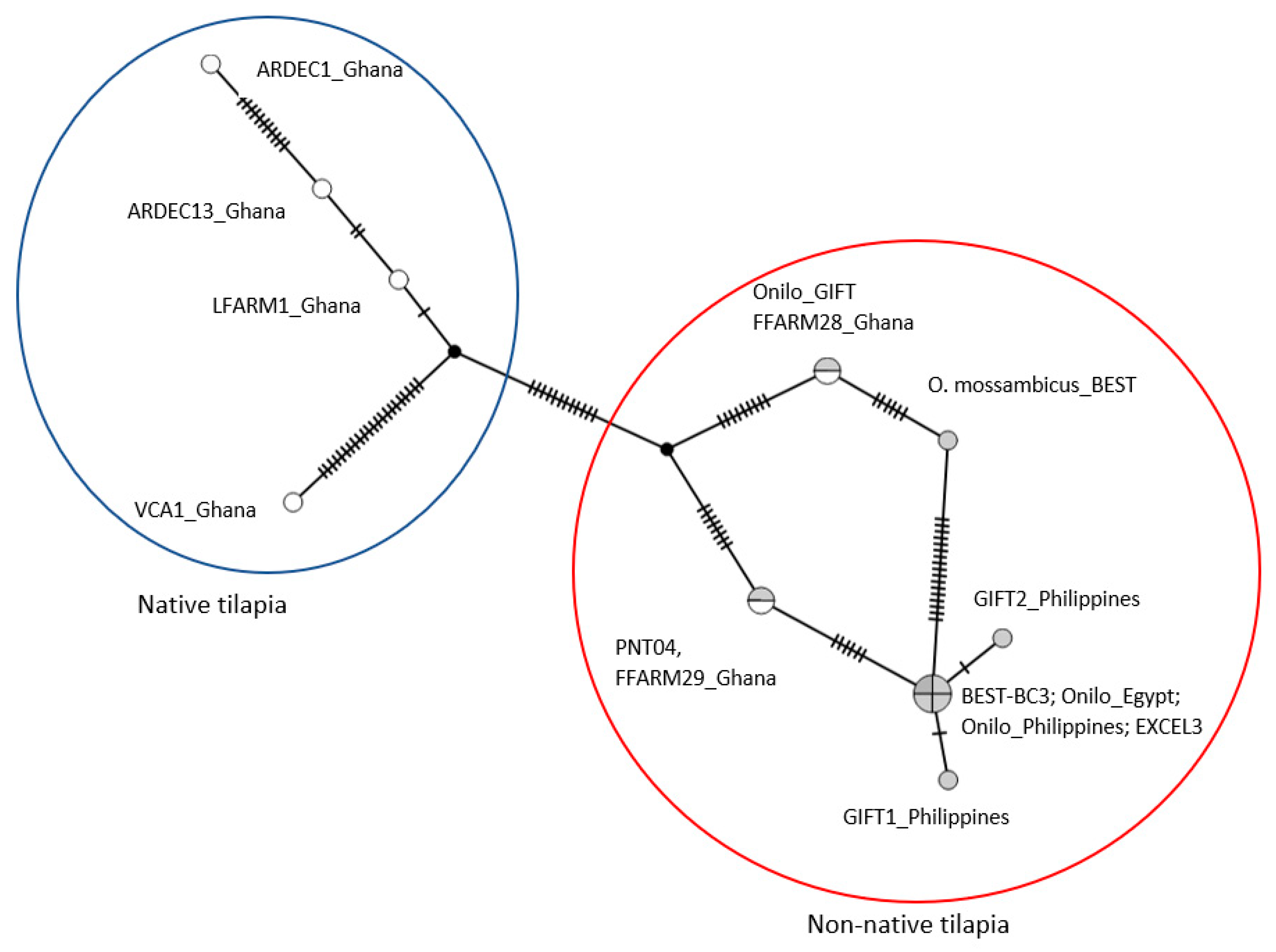 Diversity 11 00188 g003