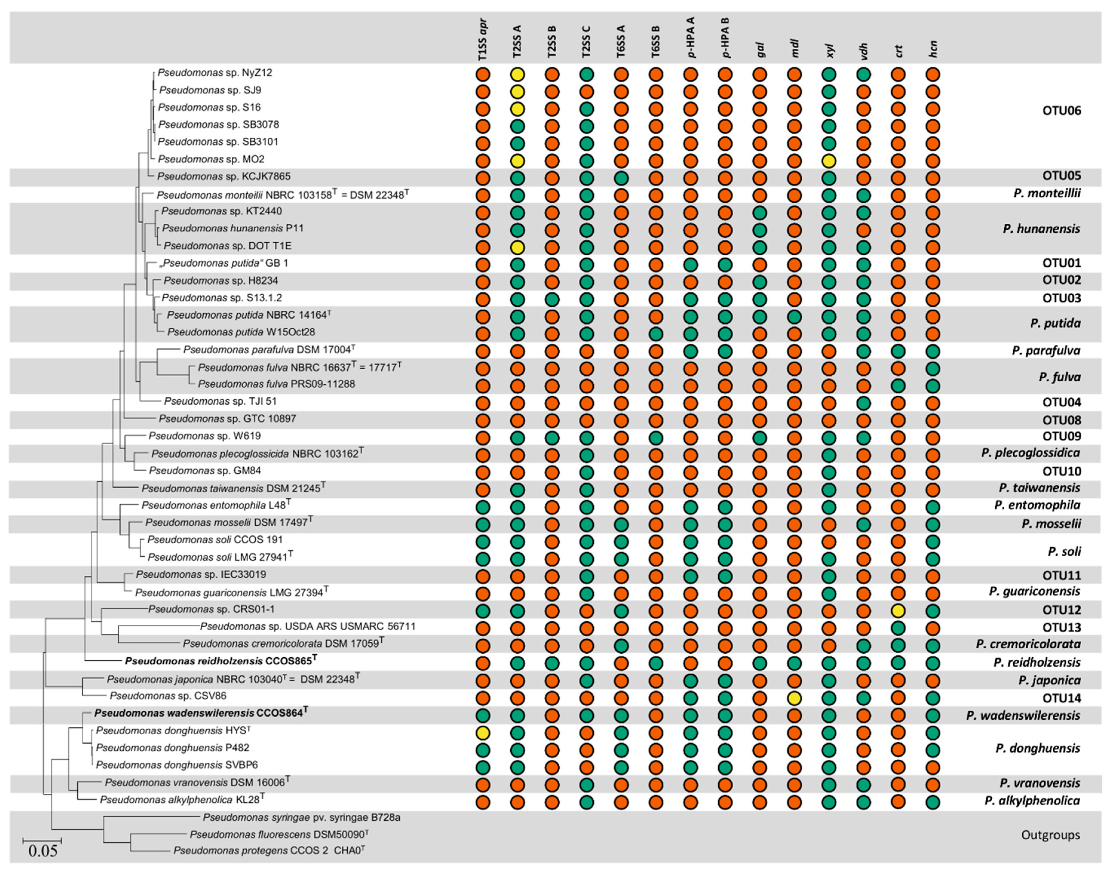 Diversity 11 00204 g002 Diversity 11 00204 g002
