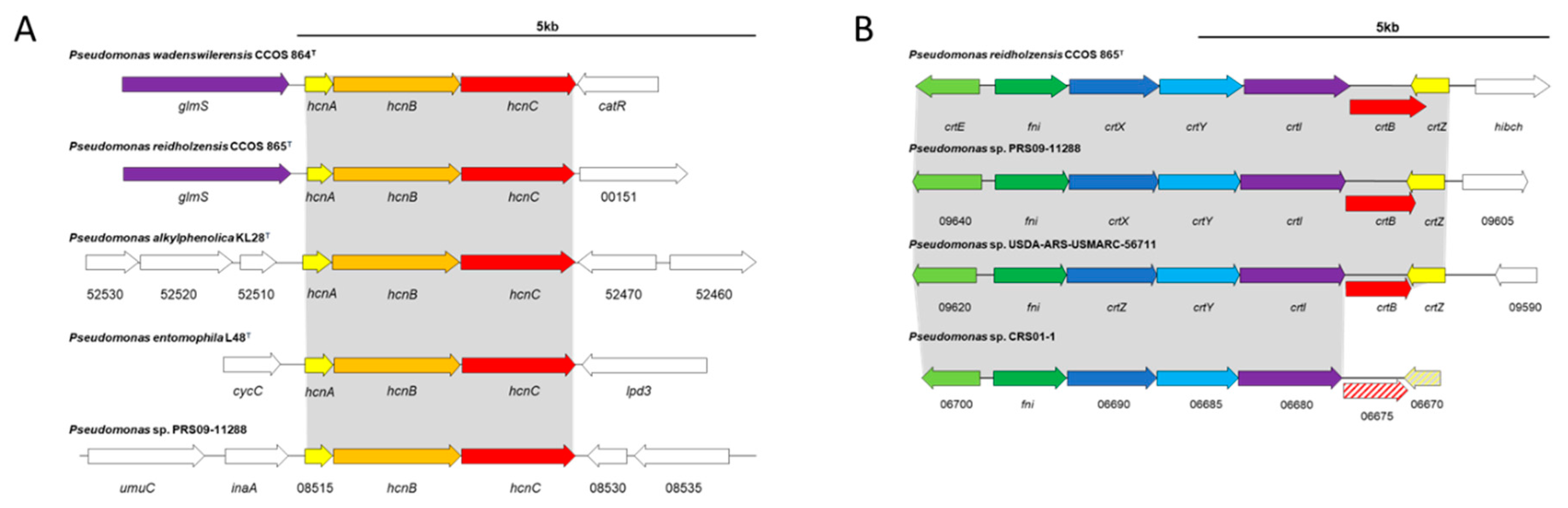 Diversity 11 00204 g004 Diversity 11 00204 g004