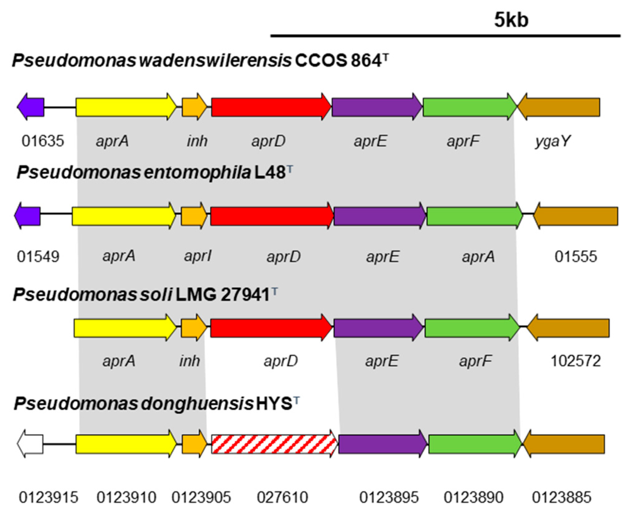 Diversity 11 00204 g005 Diversity 11 00204 g005