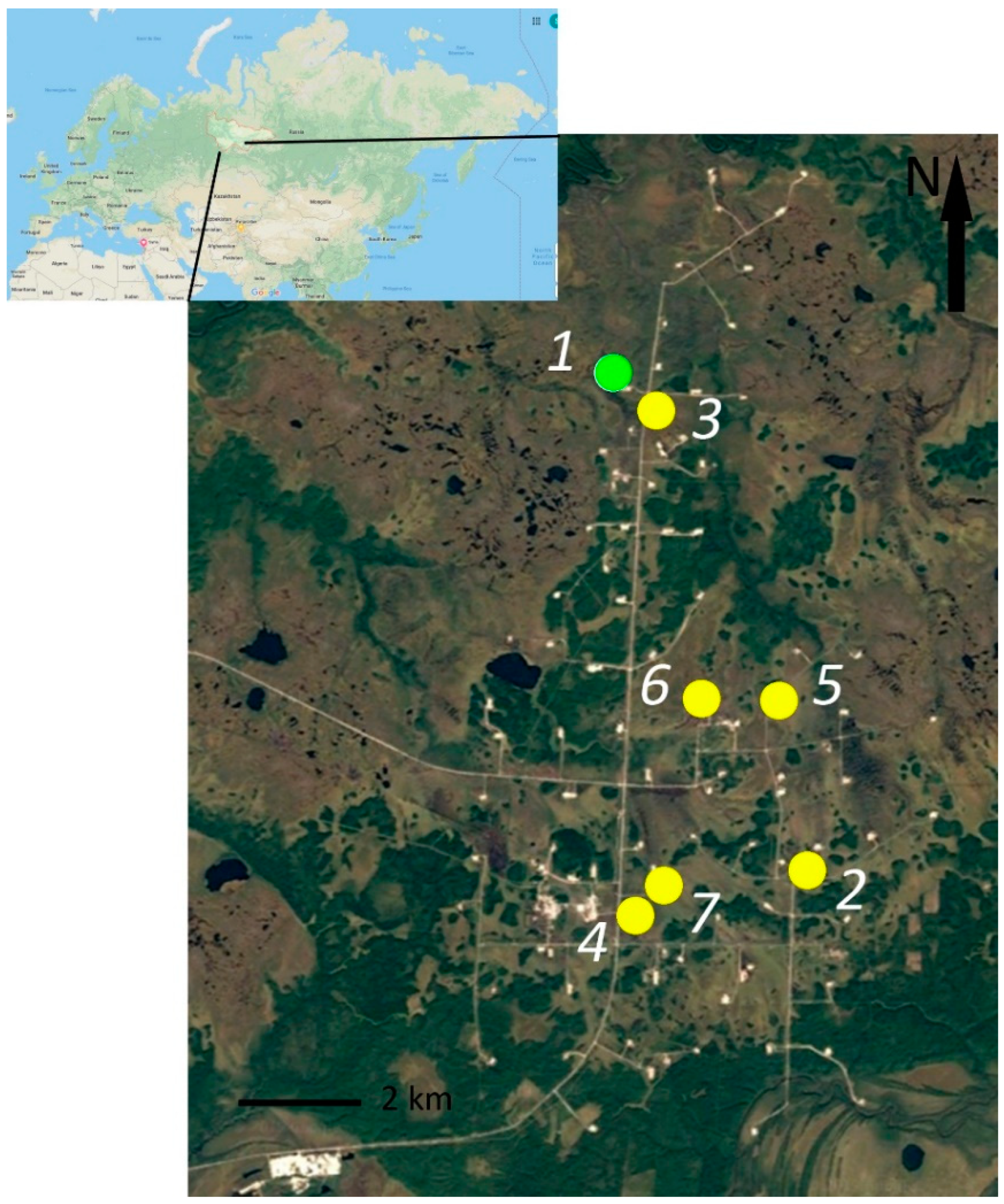 Diversity 11 00207 g001