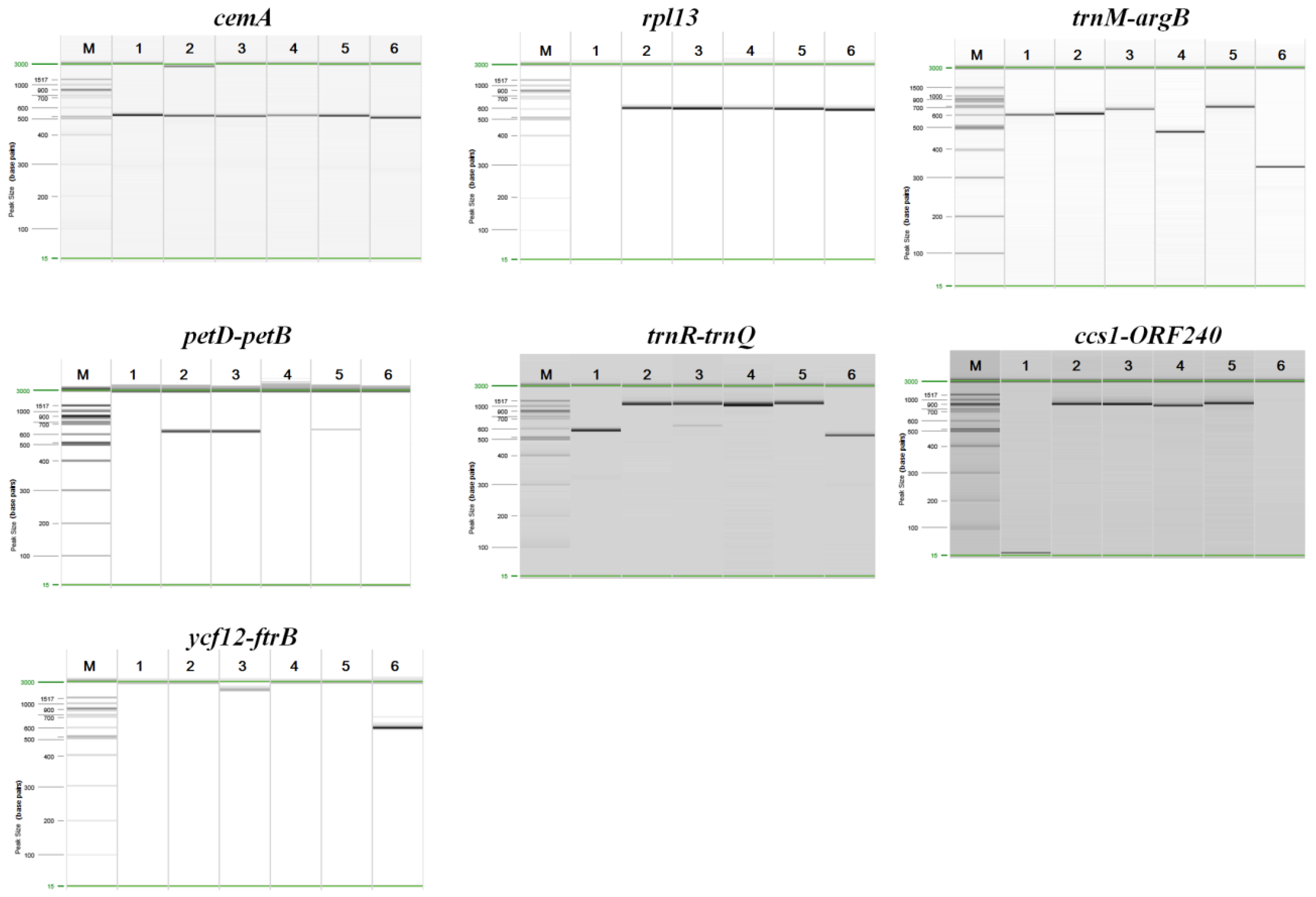 Diversity 11 00220 g003