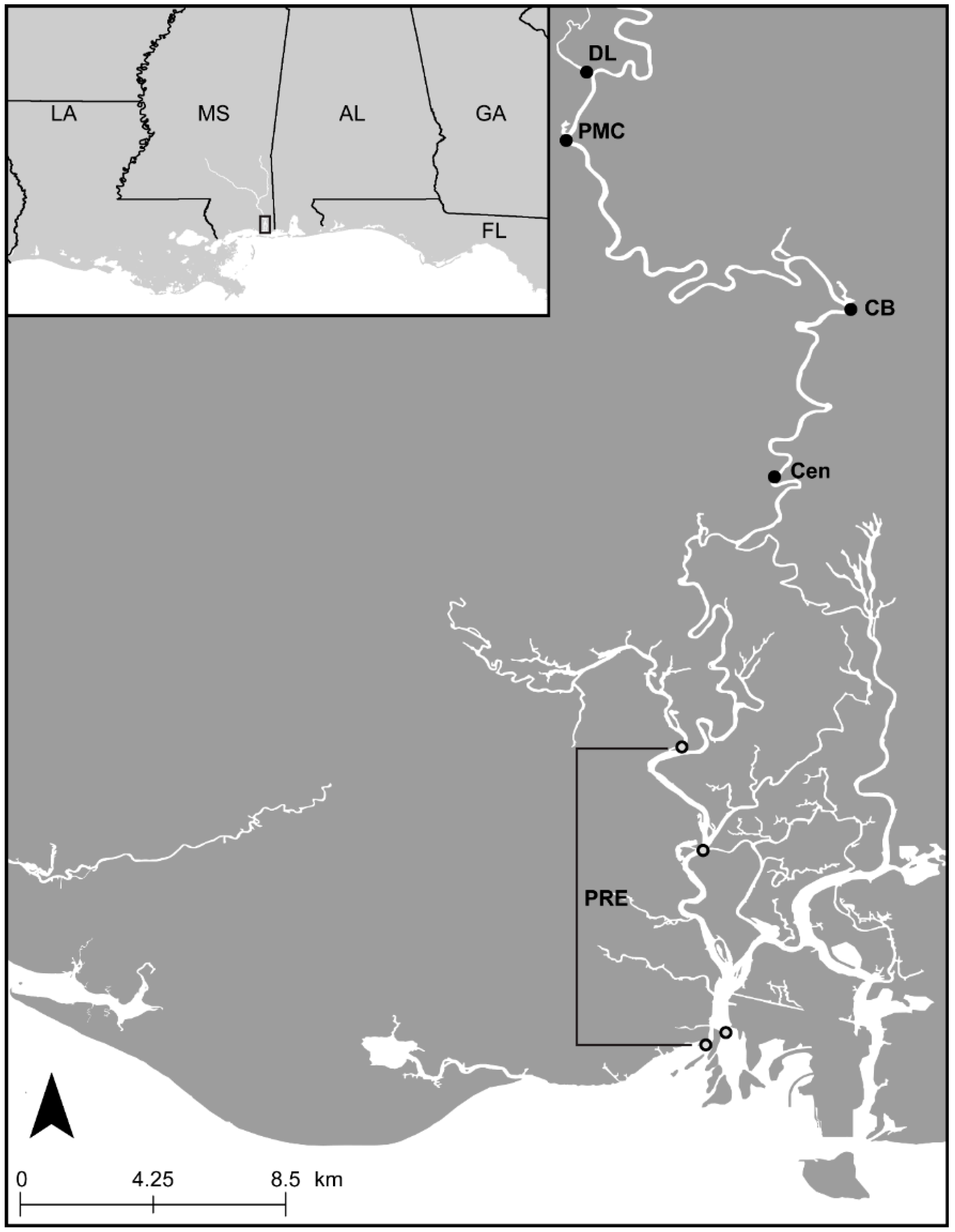 Diversity 11 00232 g001 Diversity 11 00232 g001