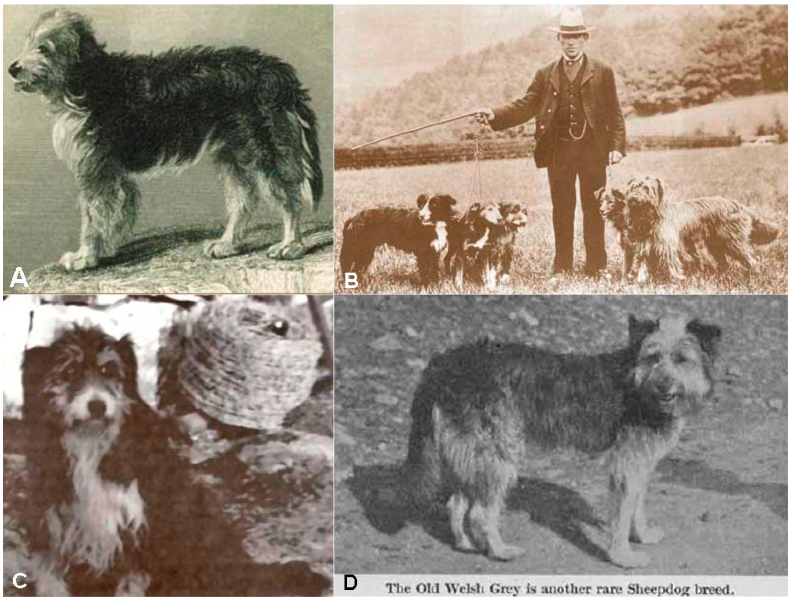 Diversity 11 00245 g004 Diversity 11 00245 g004