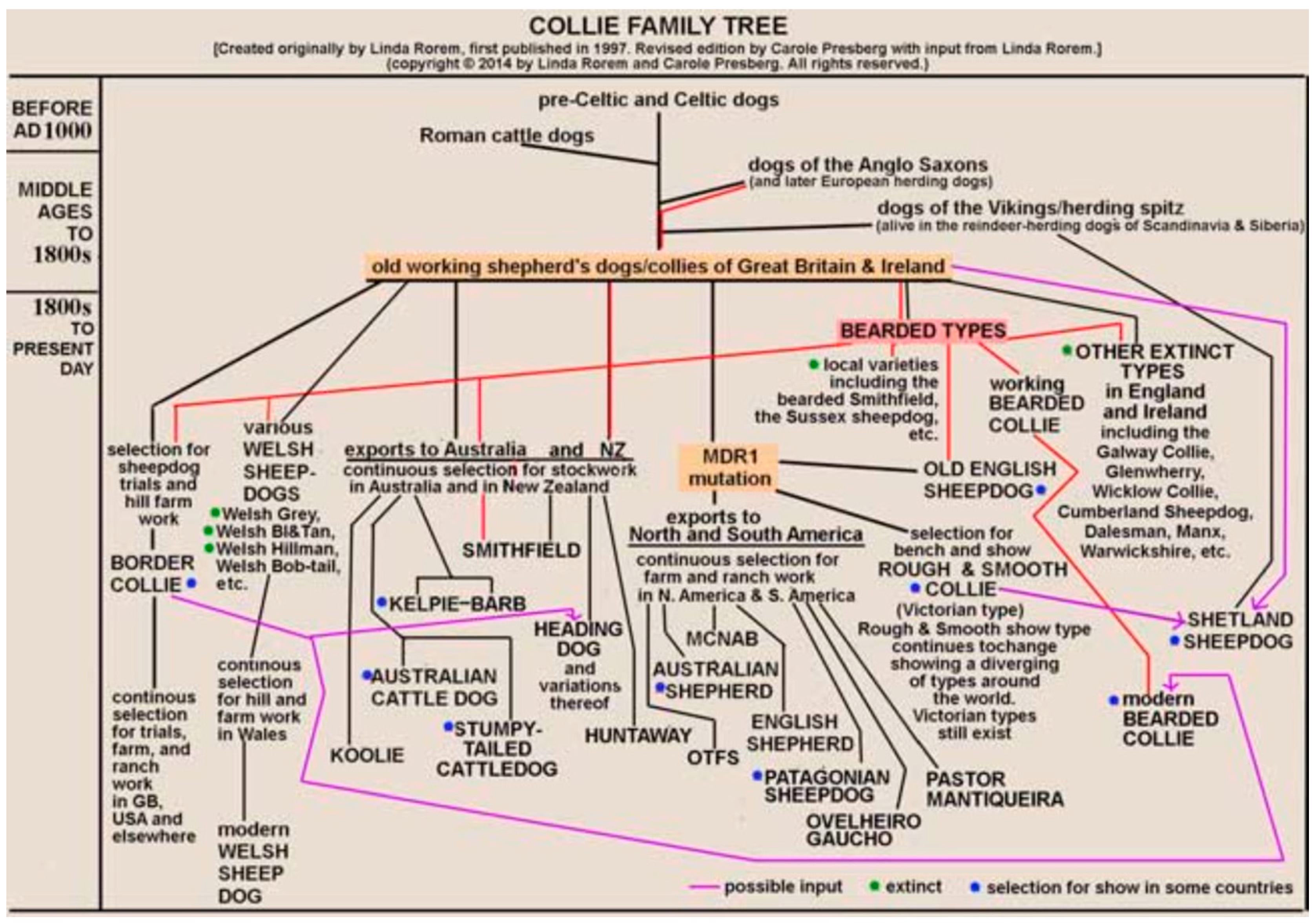 Diversity 11 00245 g005 Diversity 11 00245 g005