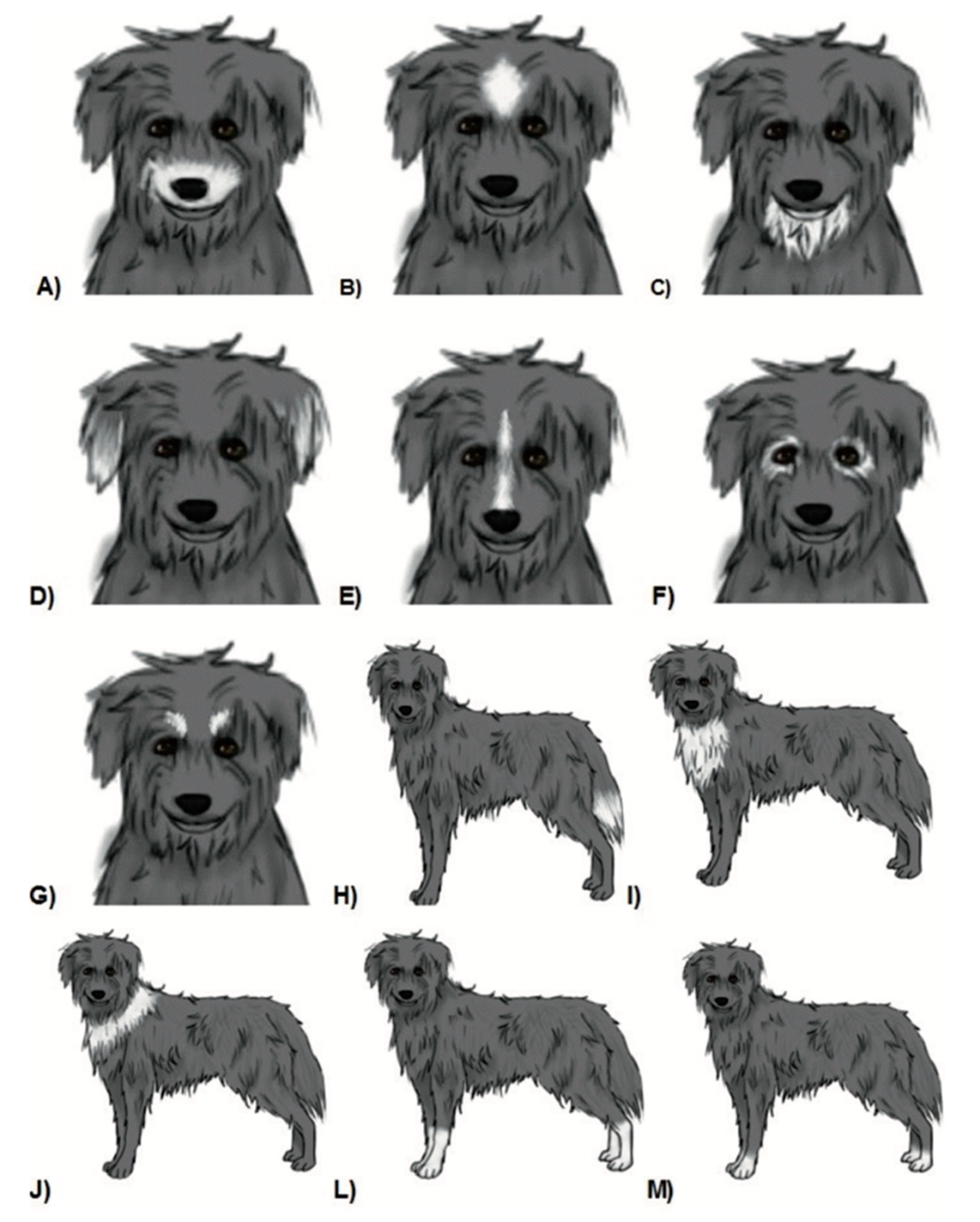 Diversity 11 00245 g007 Diversity 11 00245 g007