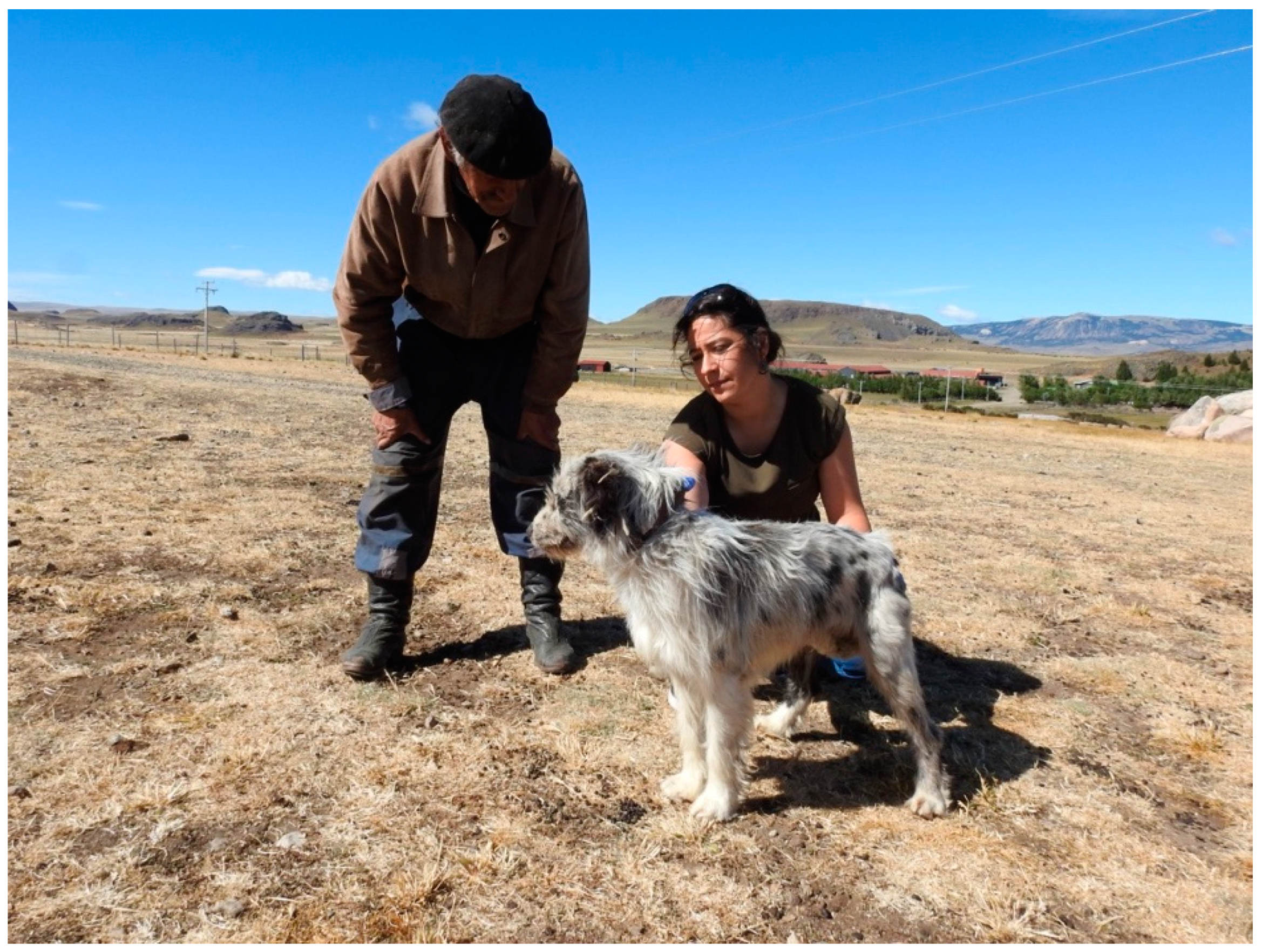 Diversity 11 00245 g009 Diversity 11 00245 g009