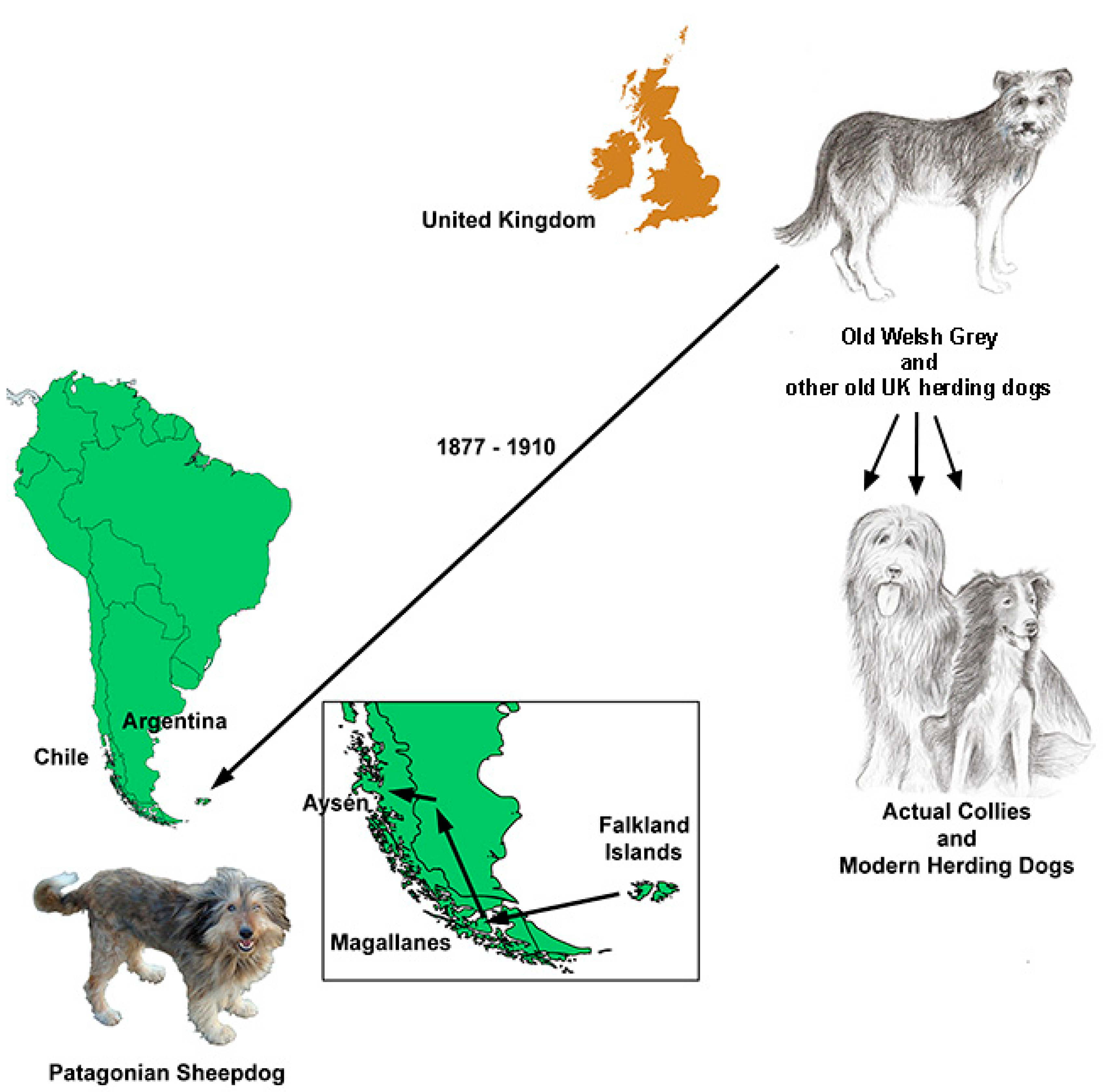 Diversity 11 00245 g011 Diversity 11 00245 g011