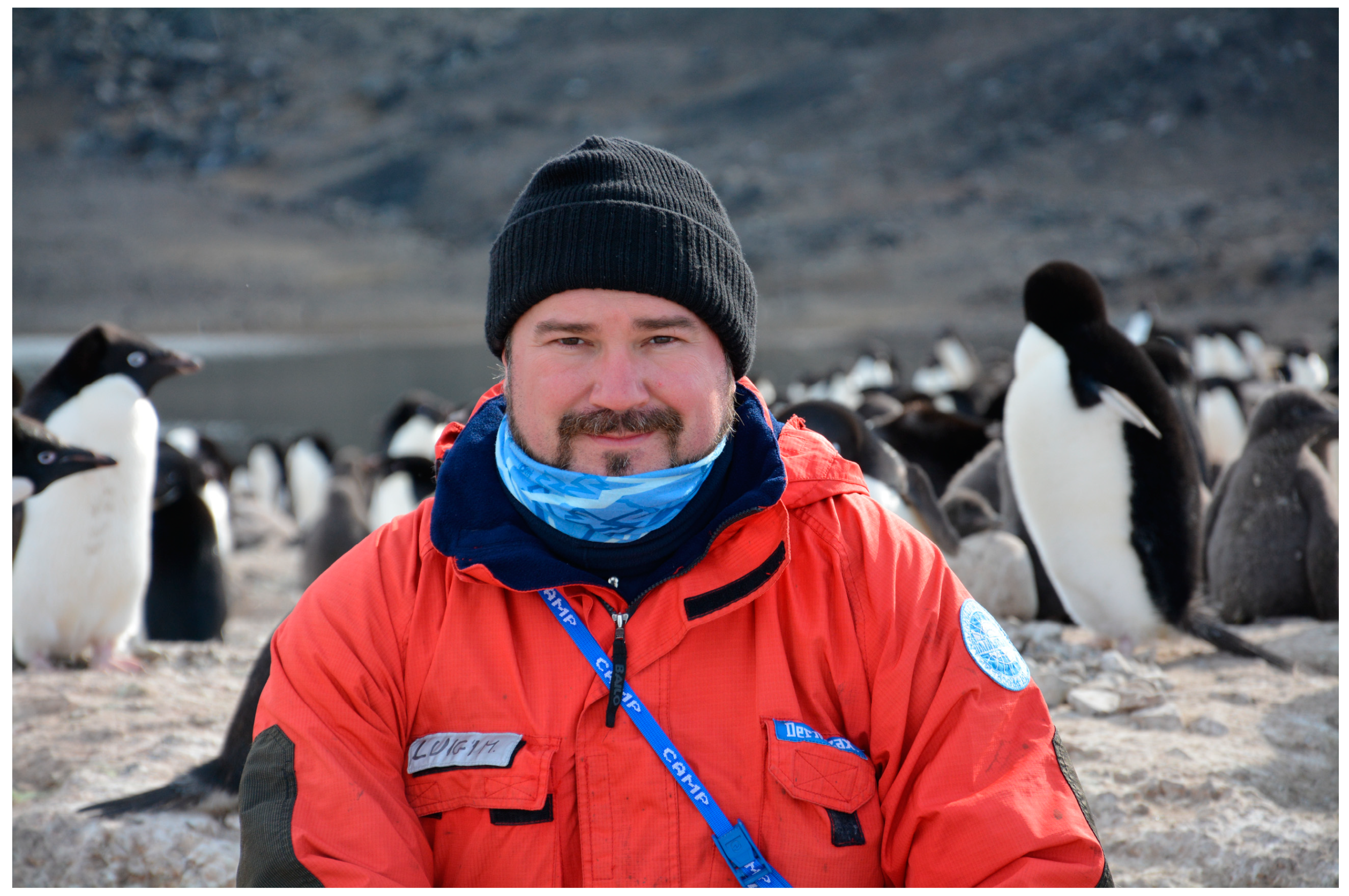 Diversity 12 00002 g001