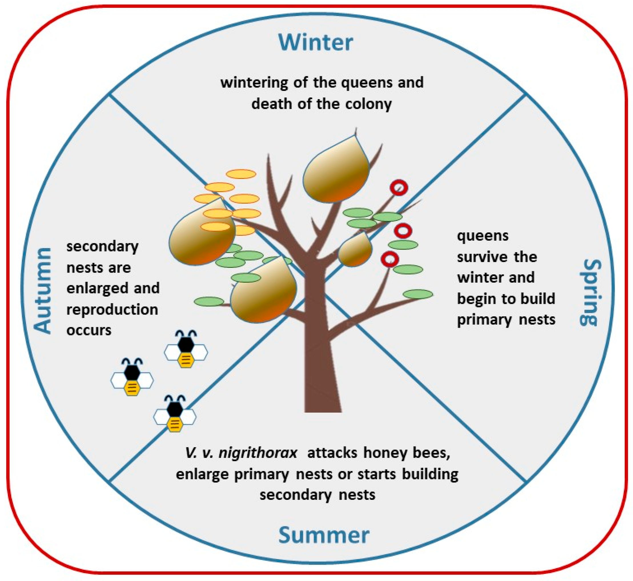Diversity 12 00005 g002 Diversity 12 00005 g002
