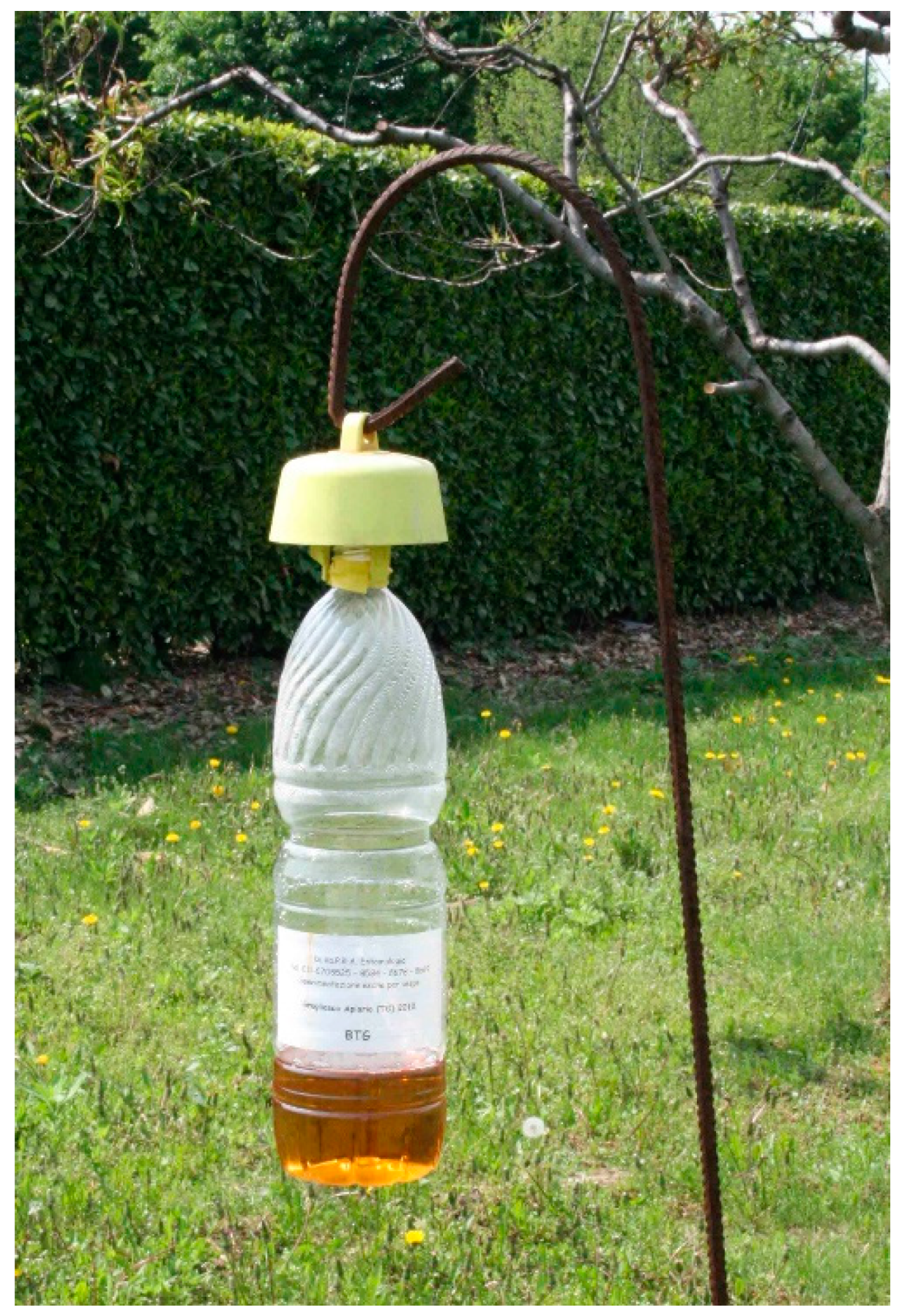 Diversity 12 00005 g006 Diversity 12 00005 g006