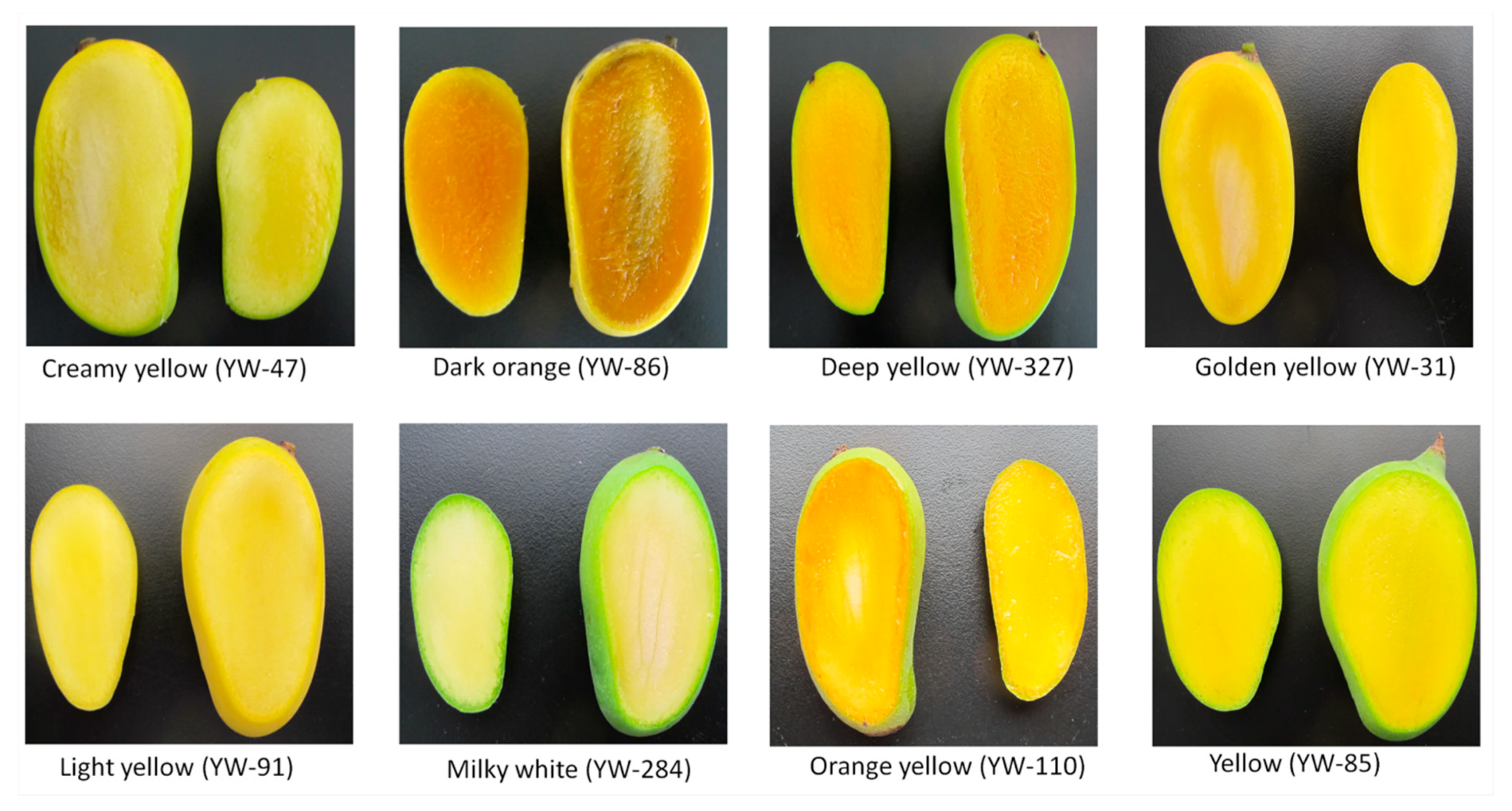 Diversity 12 00027 g003