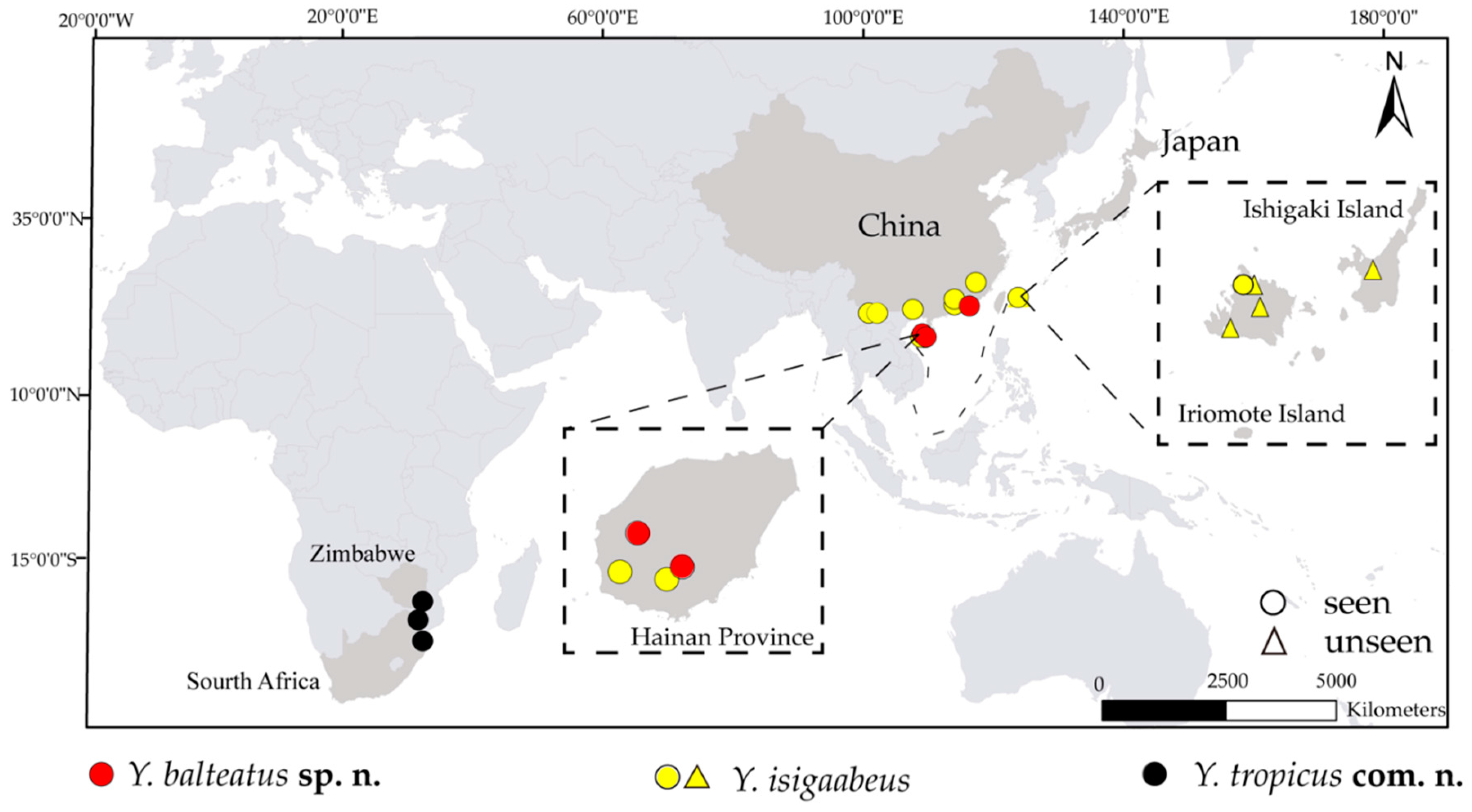 Diversity 12 00031 g001 Diversity 12 00031 g001