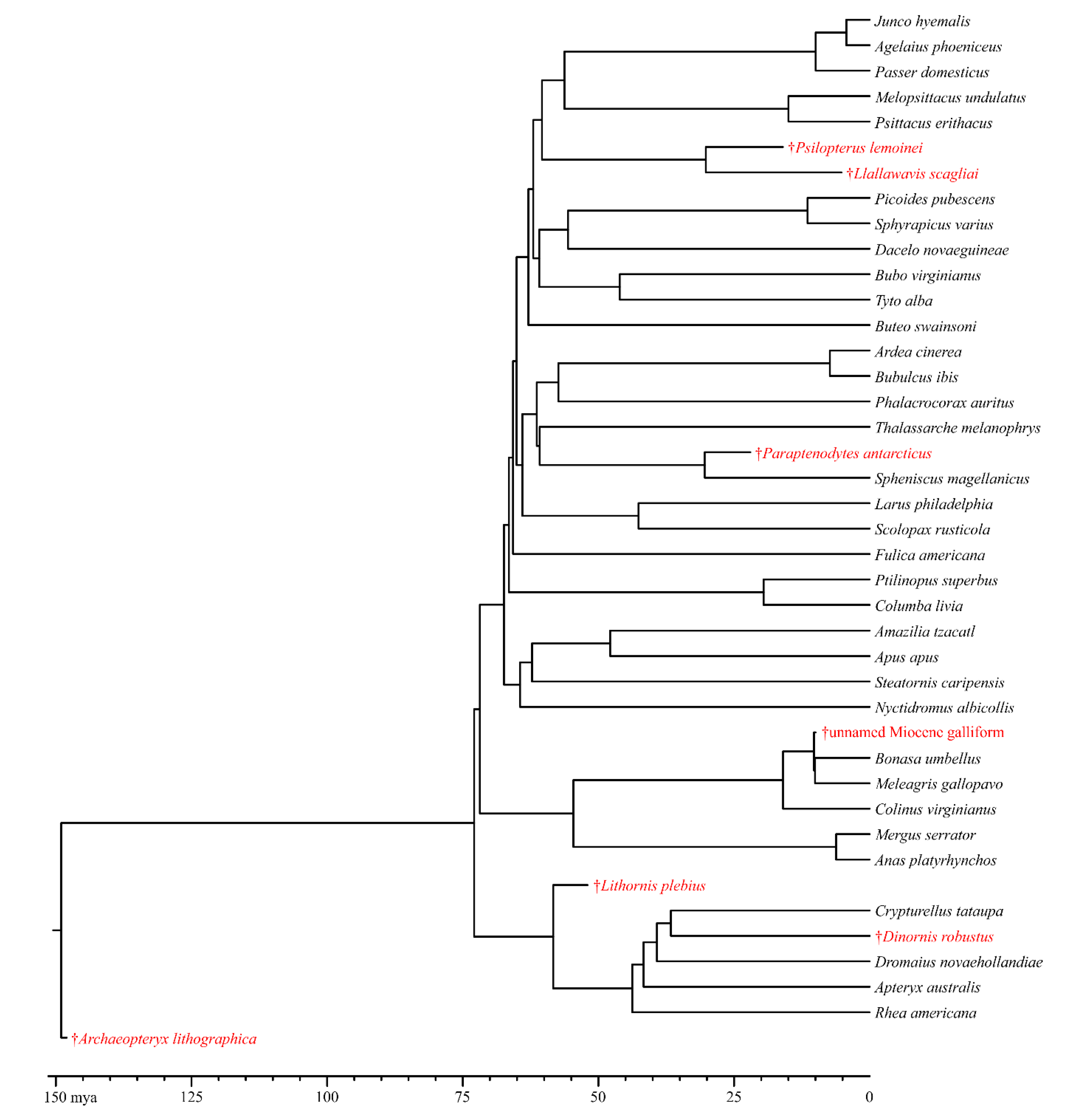 Diversity 12 00034 g002