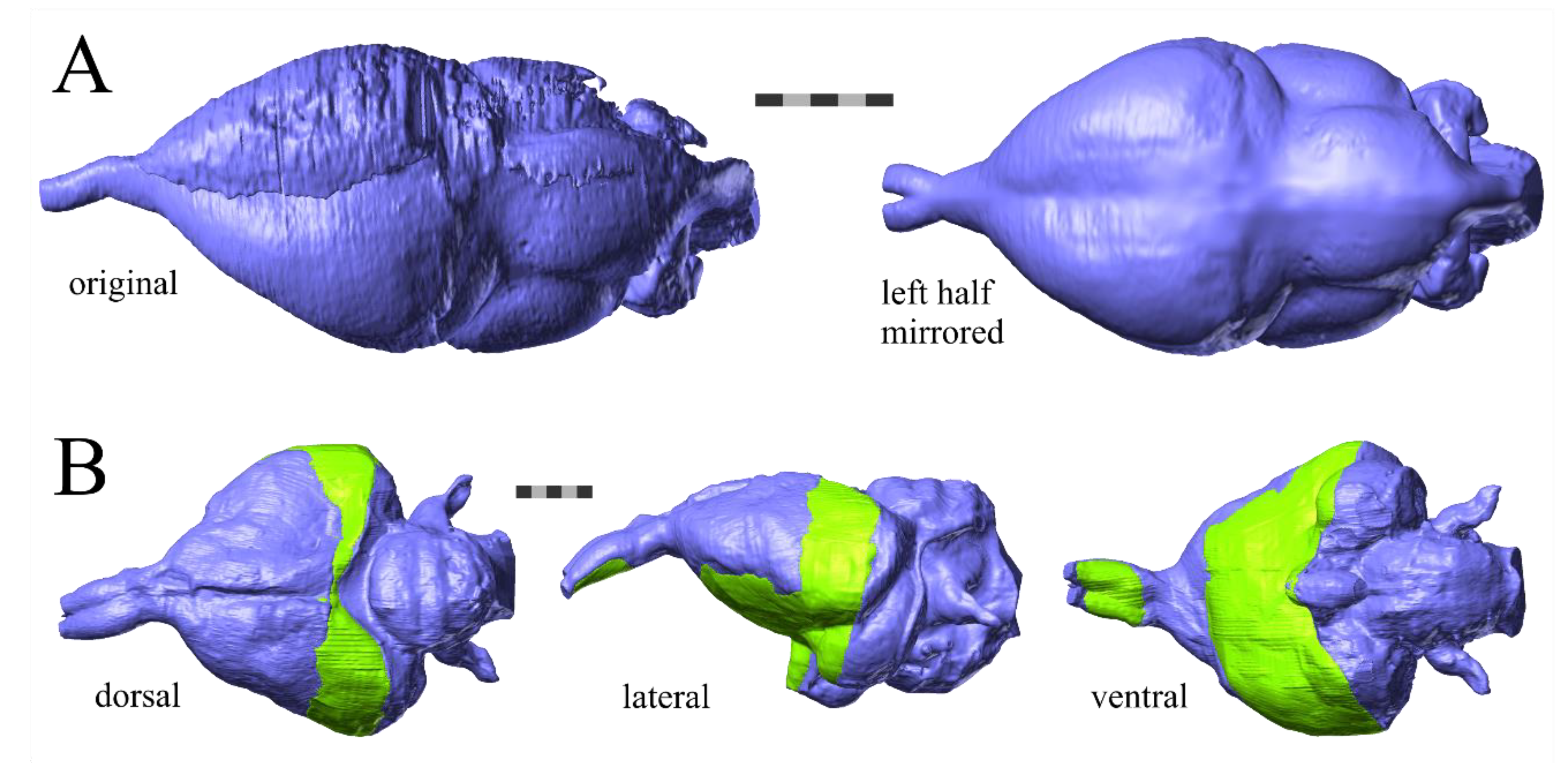 Diversity 12 00034 g003