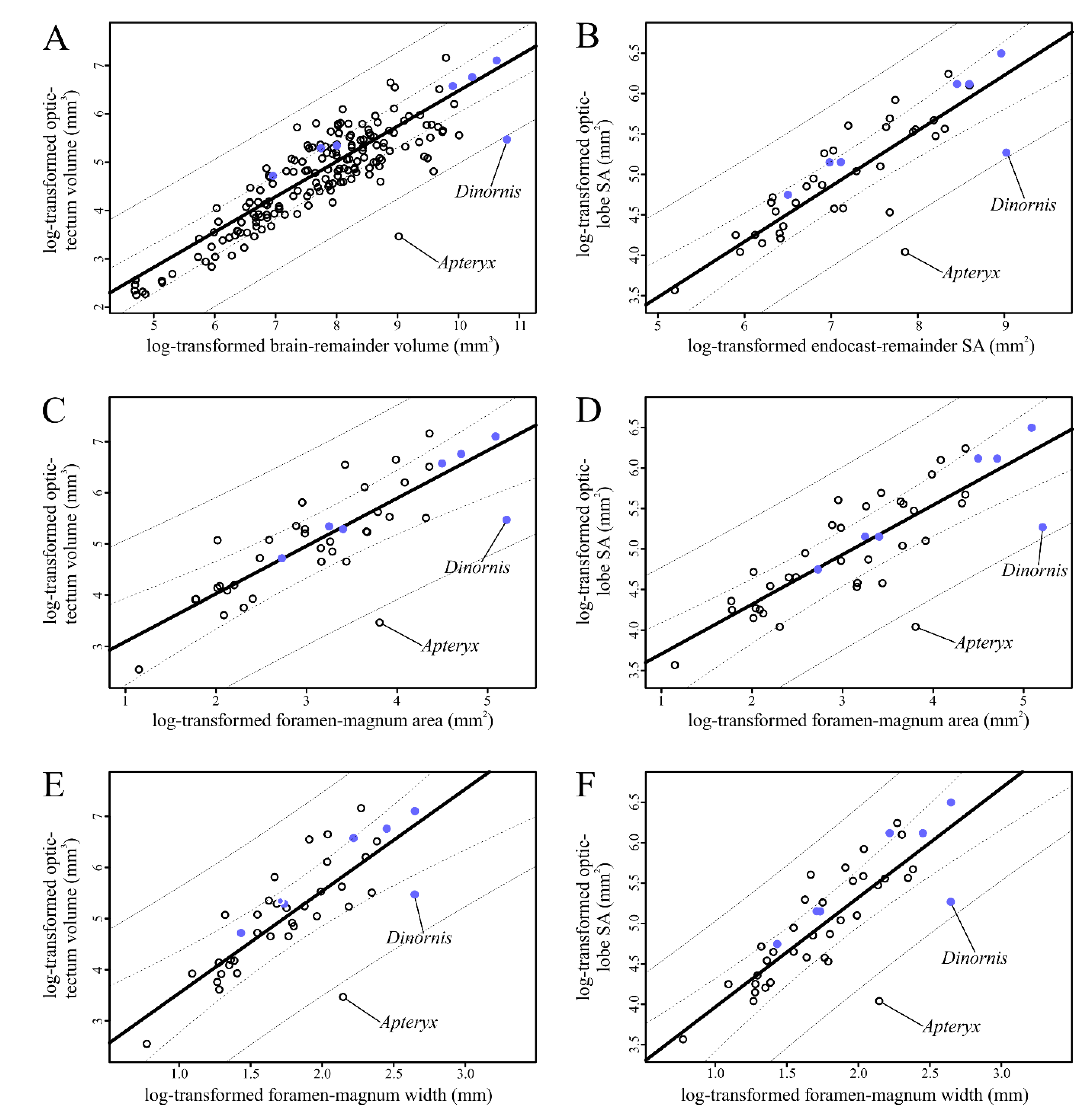 Diversity 12 00034 g005