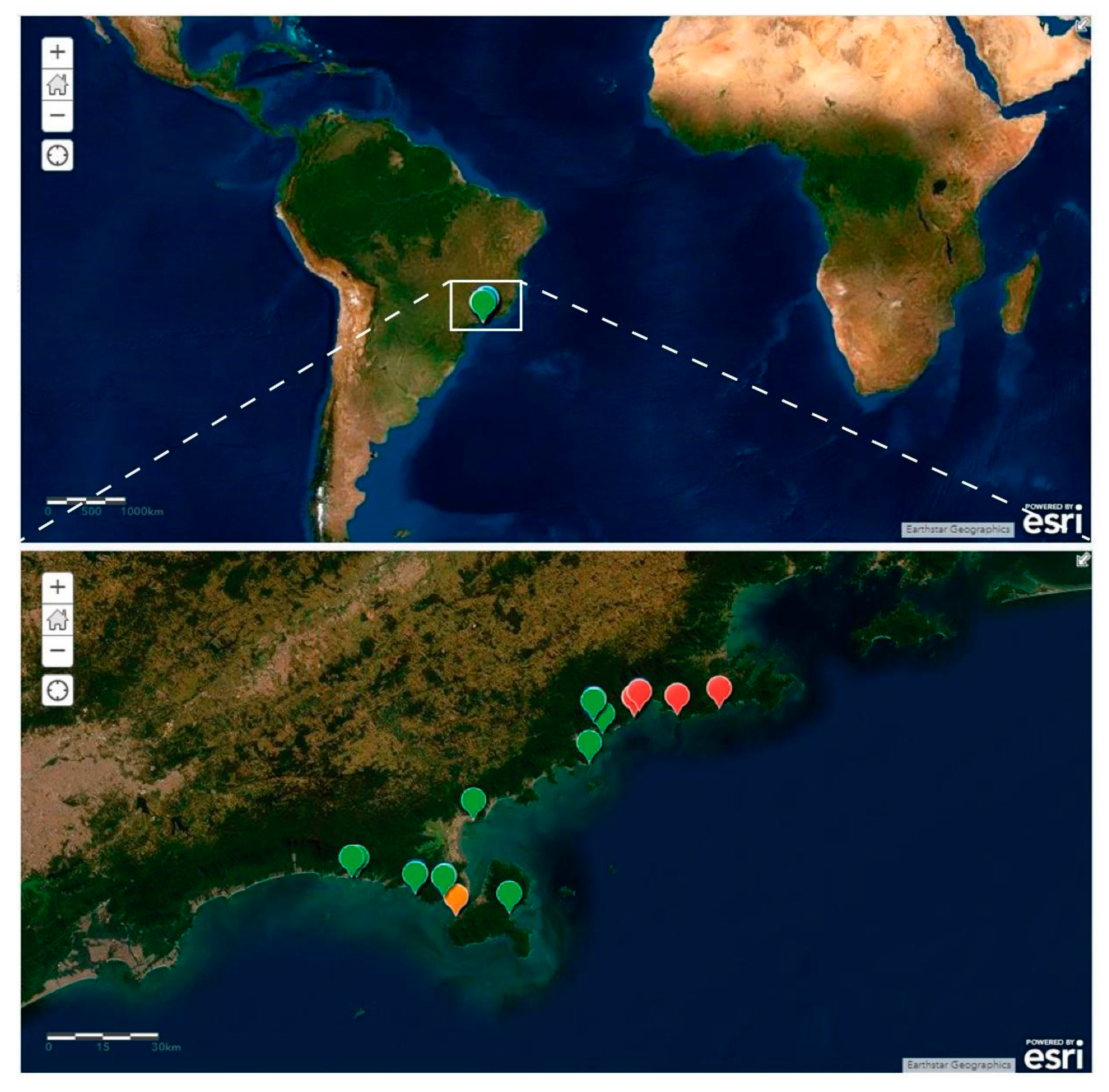 Diversity 12 00042 g001