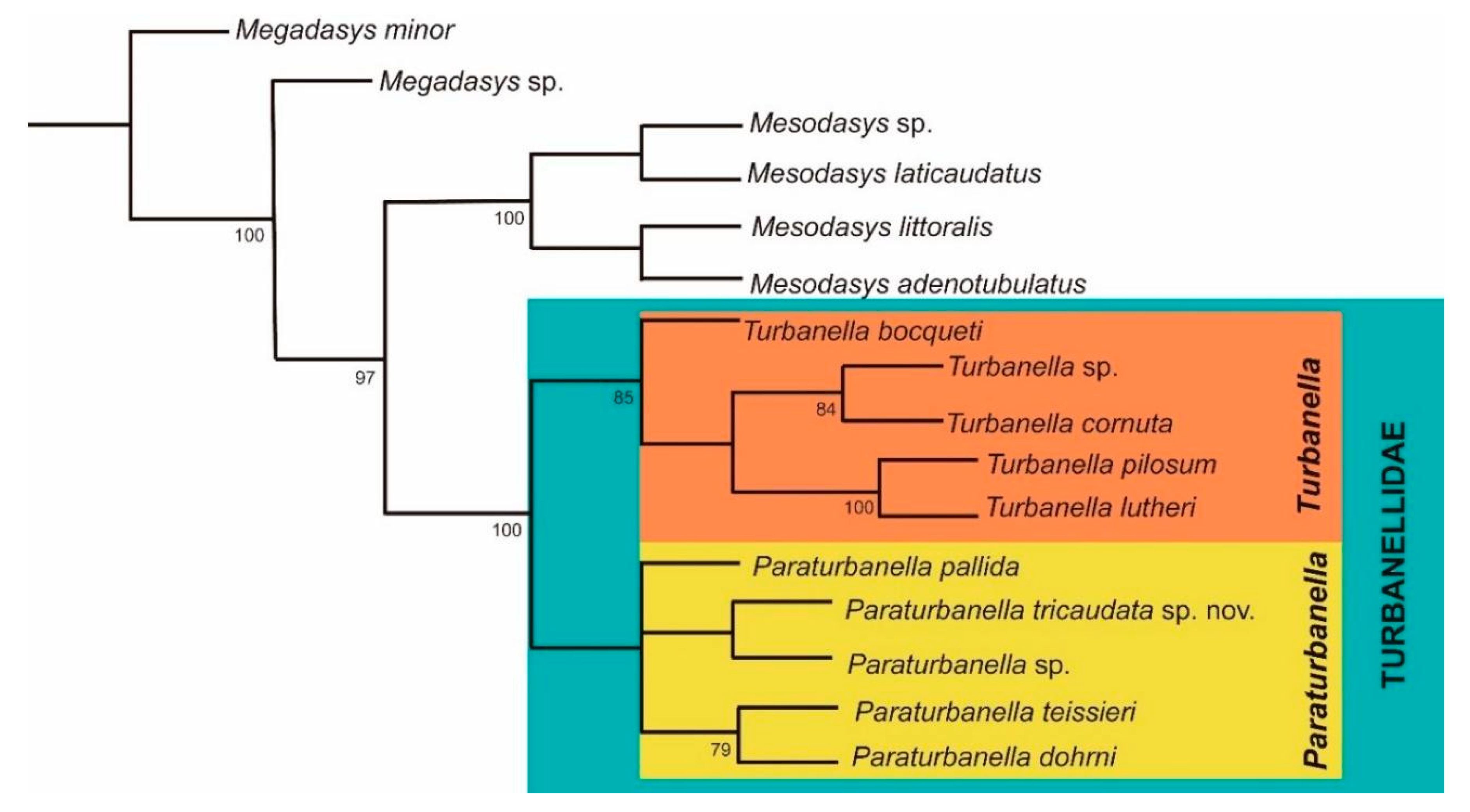 Diversity 12 00042 g007
