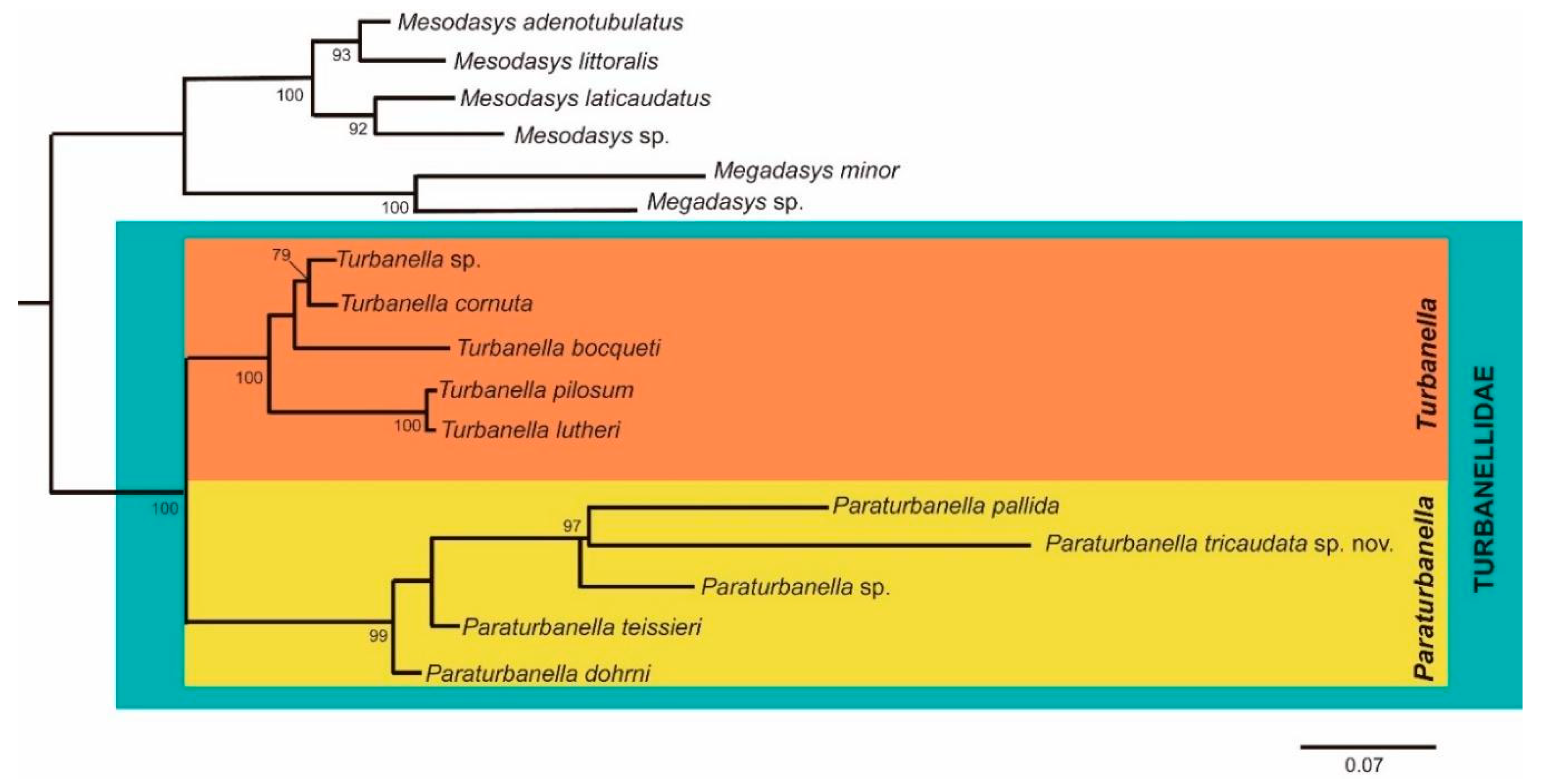 Diversity 12 00042 g008