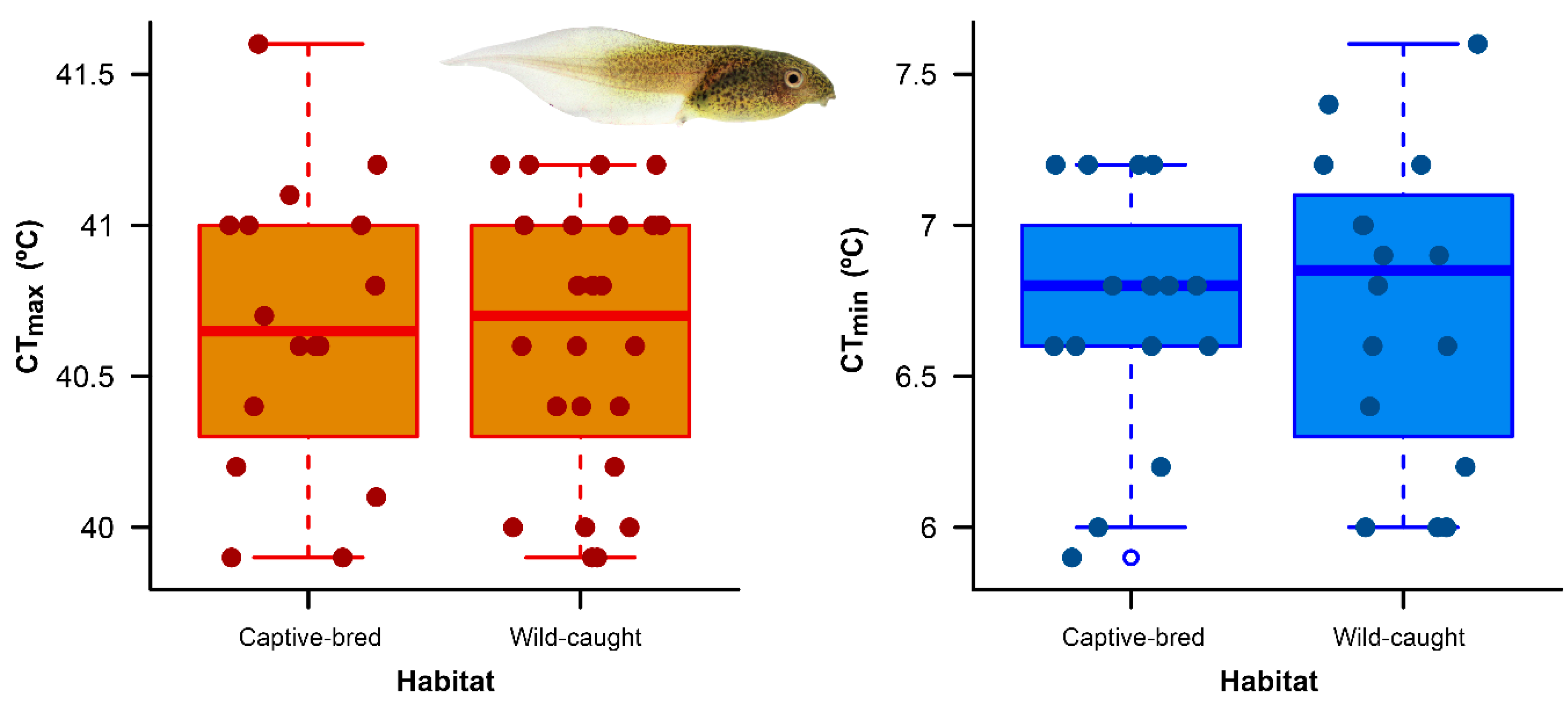 Diversity 12 00043 g001