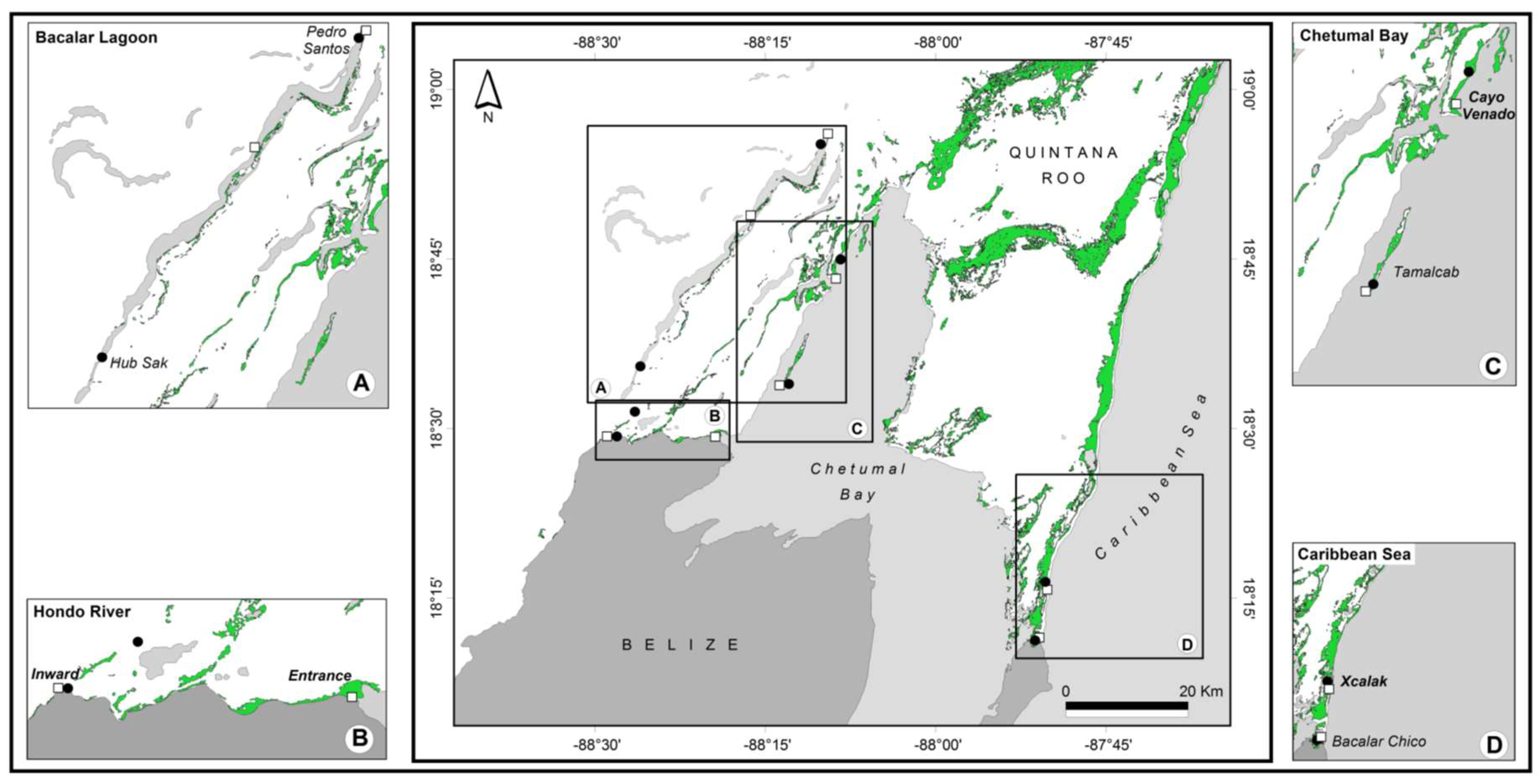 Diversity 12 00048 g001
