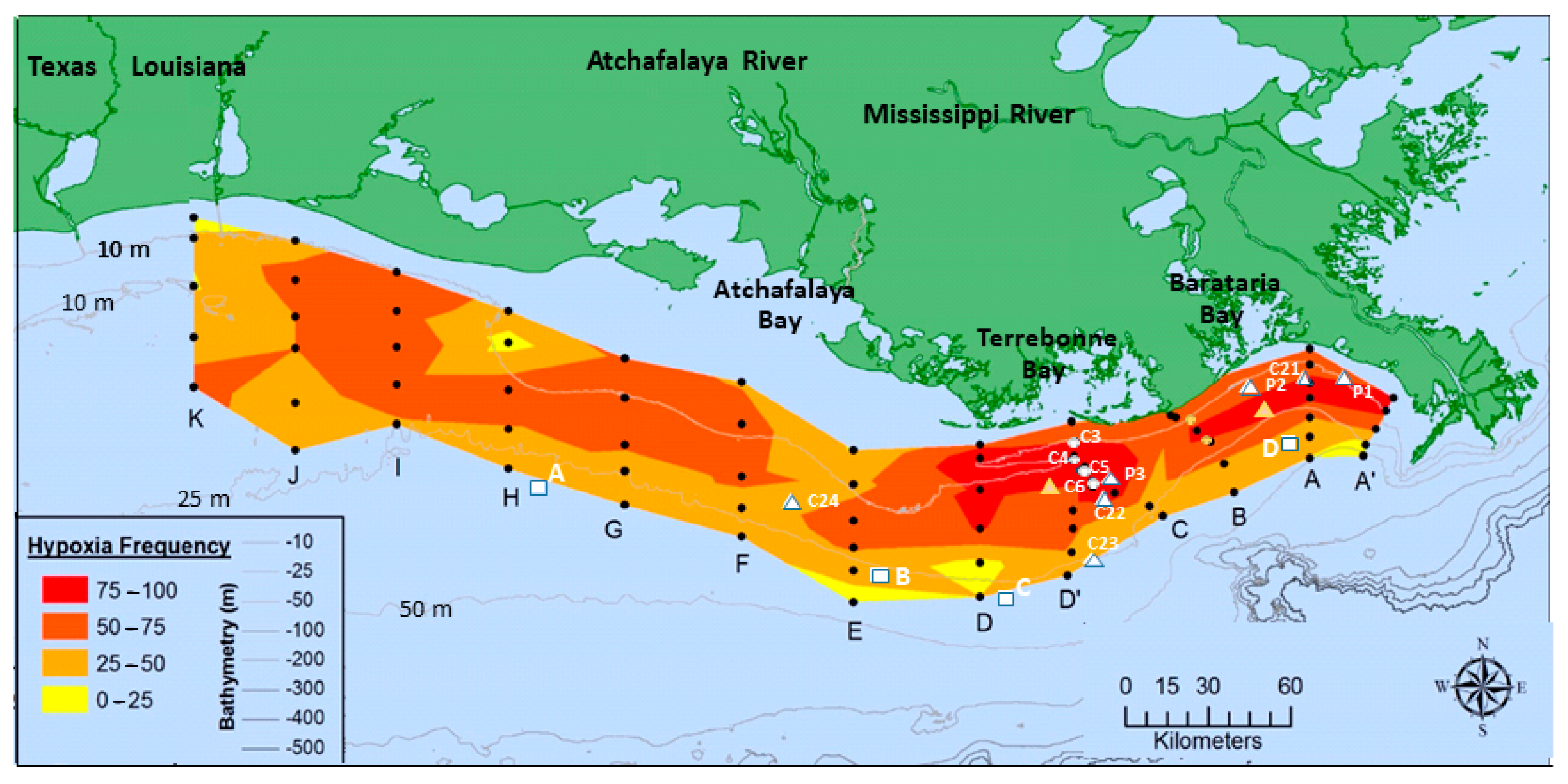 Diversity | Free Full-Text | Historical Shifts in Benthic Infaunal