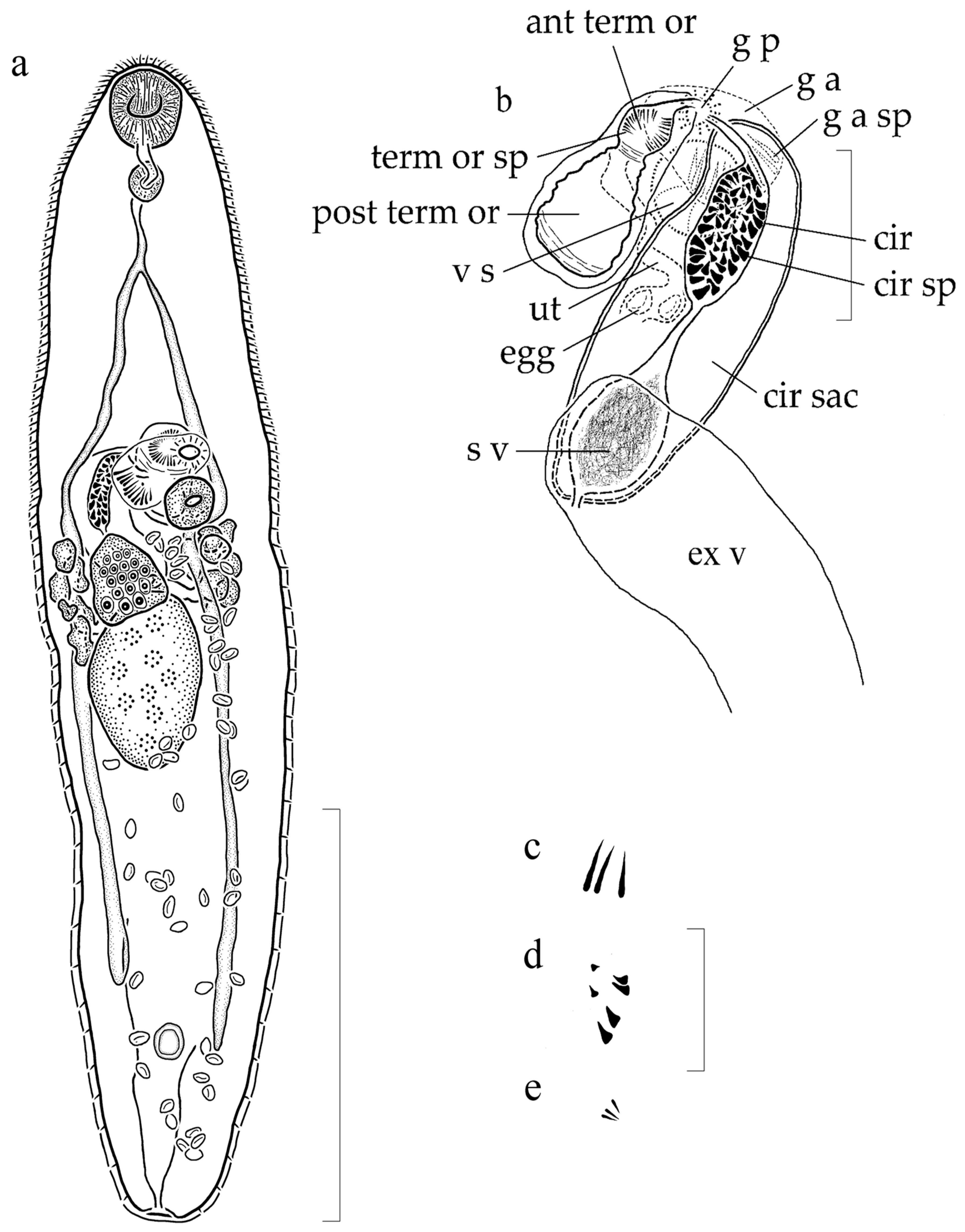 Diversity 12 00051 g001 Diversity 12 00051 g001