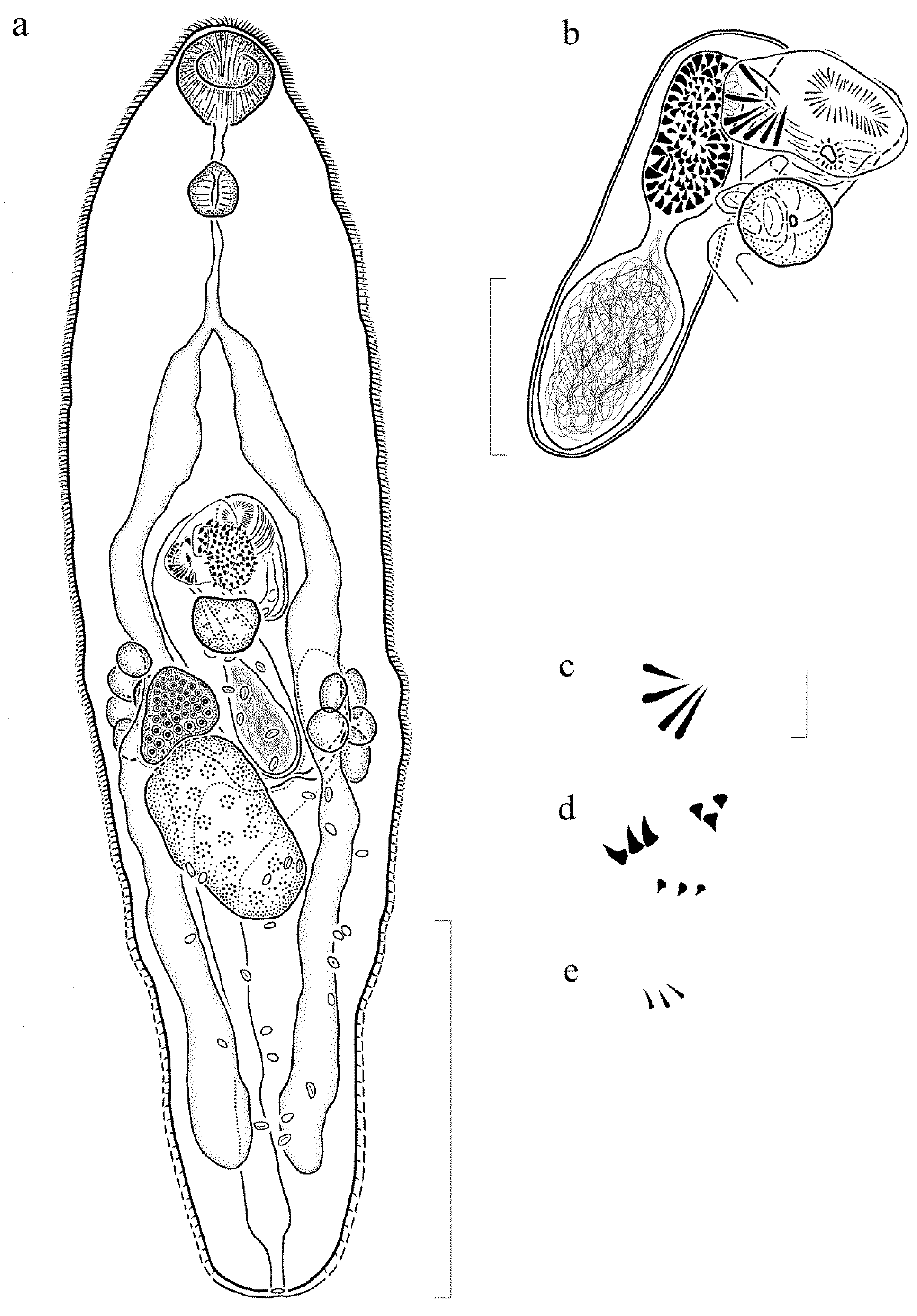 Diversity 12 00051 g003 Diversity 12 00051 g003