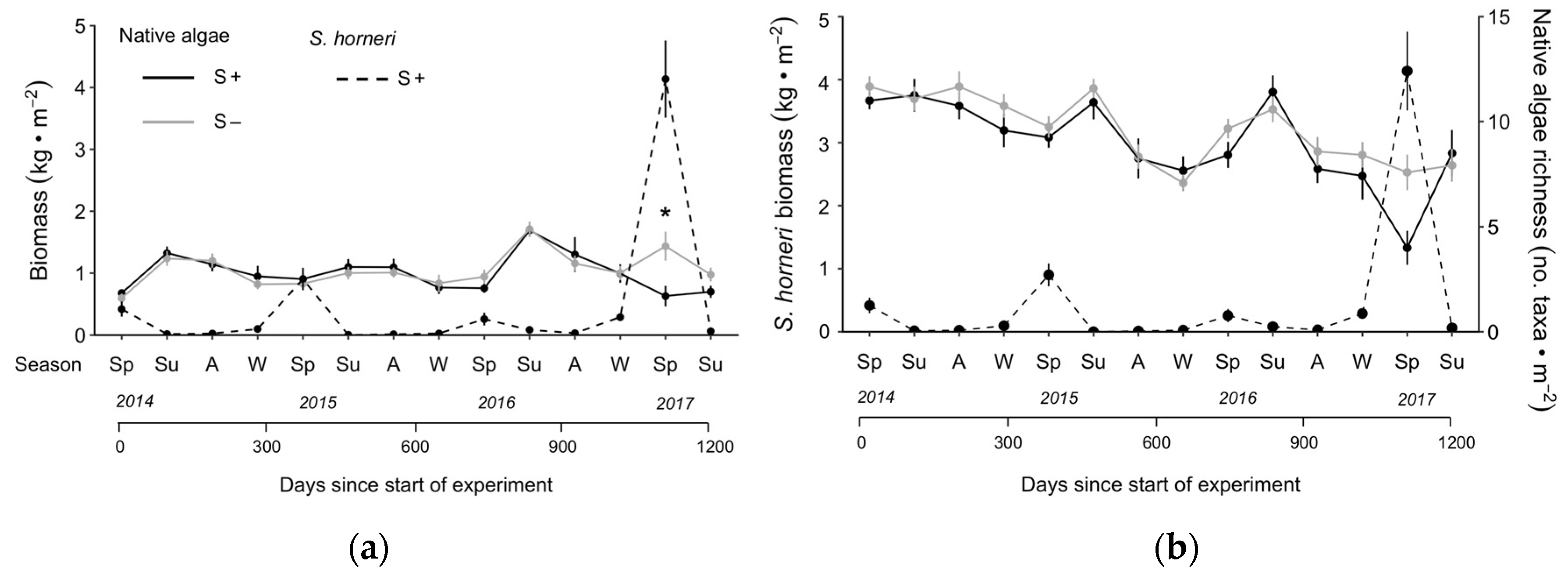 Diversity 12 00054 g002 Diversity 12 00054 g002