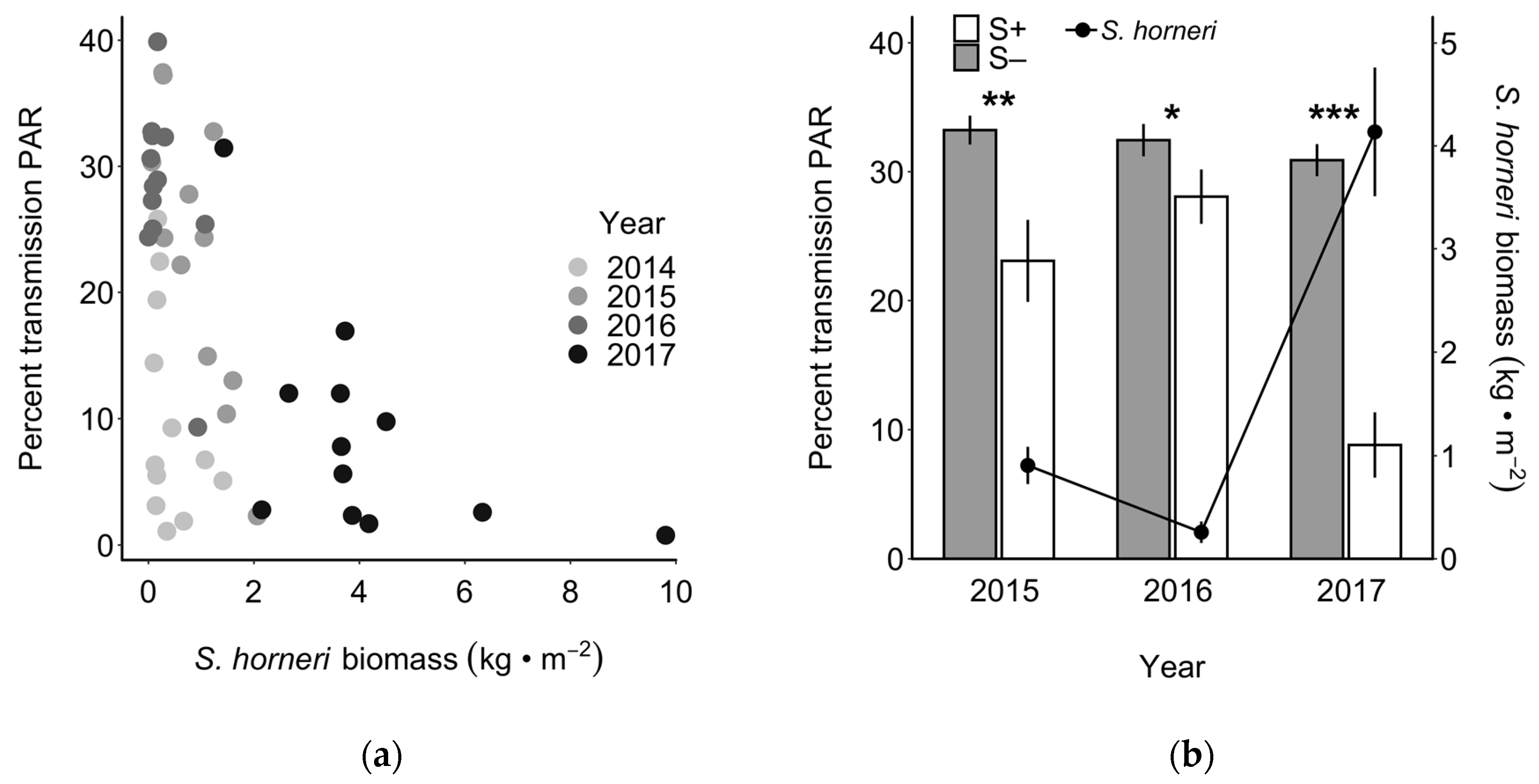 Diversity 12 00054 g003 Diversity 12 00054 g003