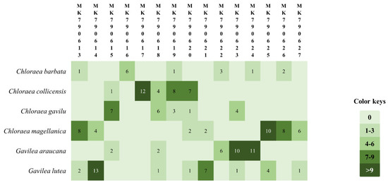 Isolation and Identification of Endophytic Bacteria from Mycorrhizal ...