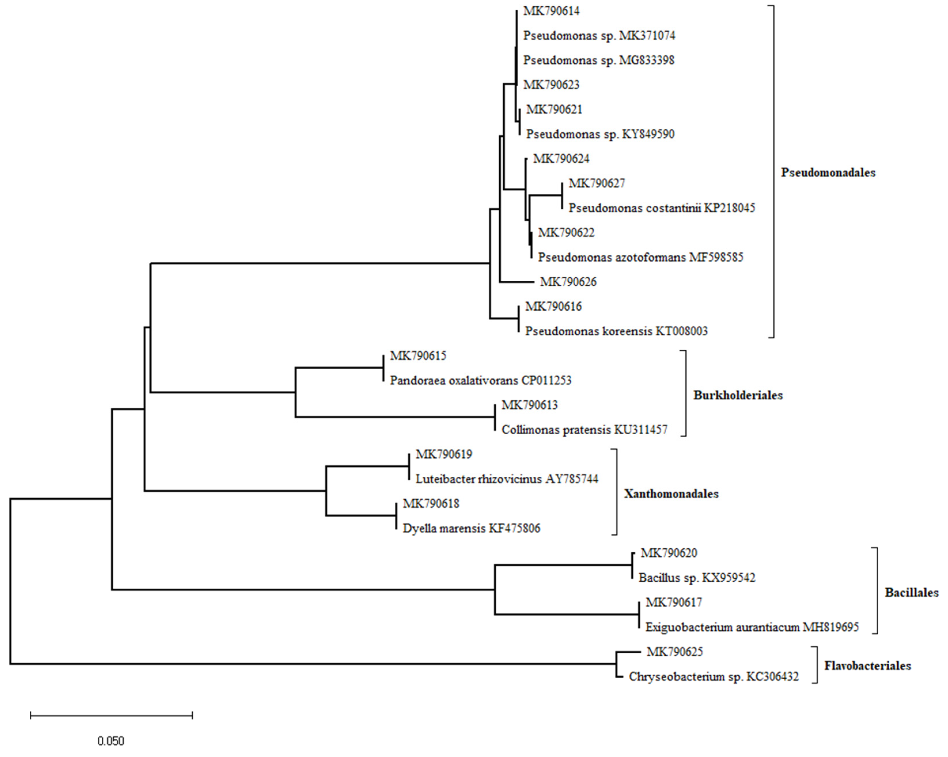 Diversity 12 00055 g002