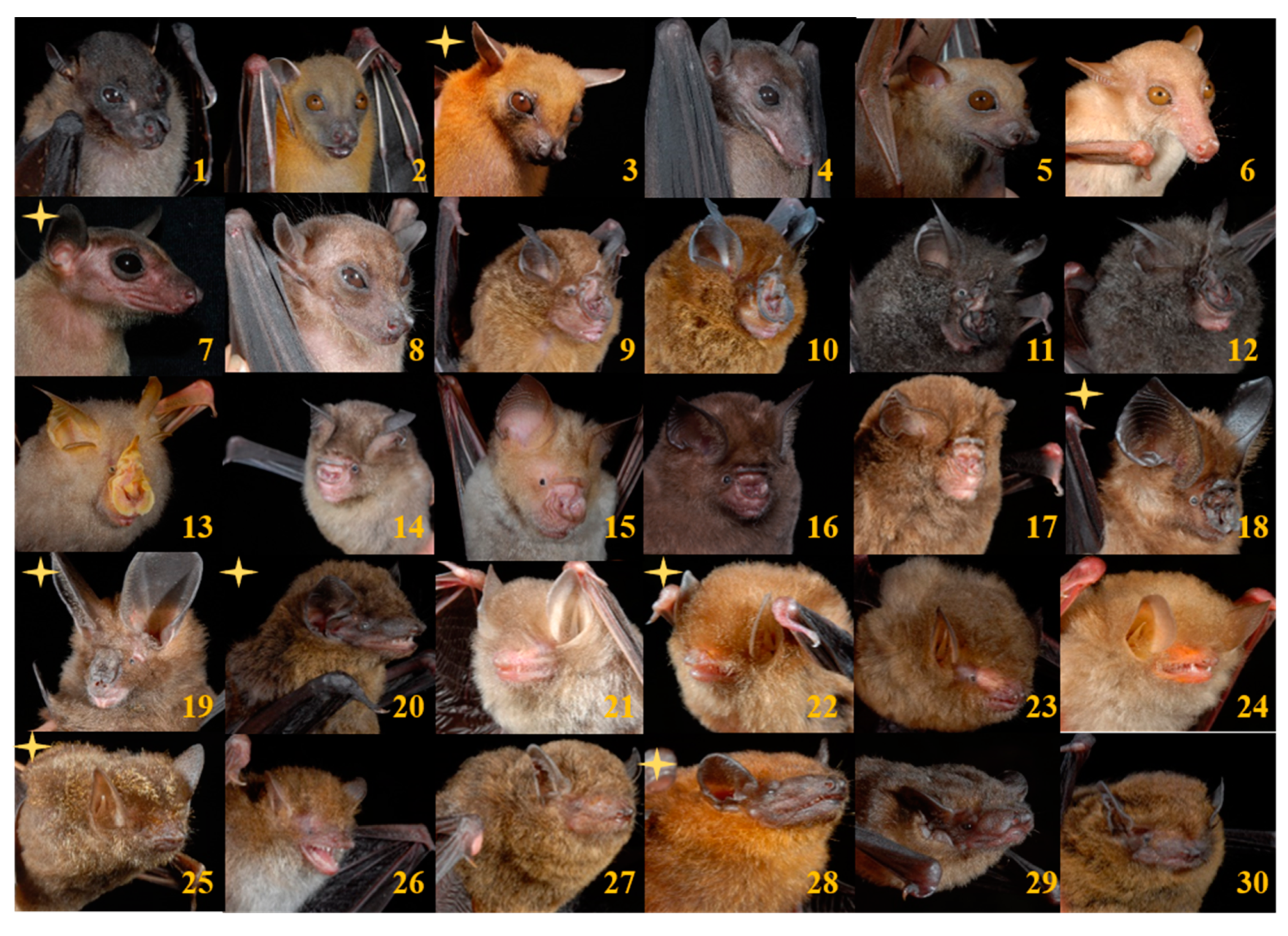 Diversity 12 00060 g002 Diversity 12 00060 g002