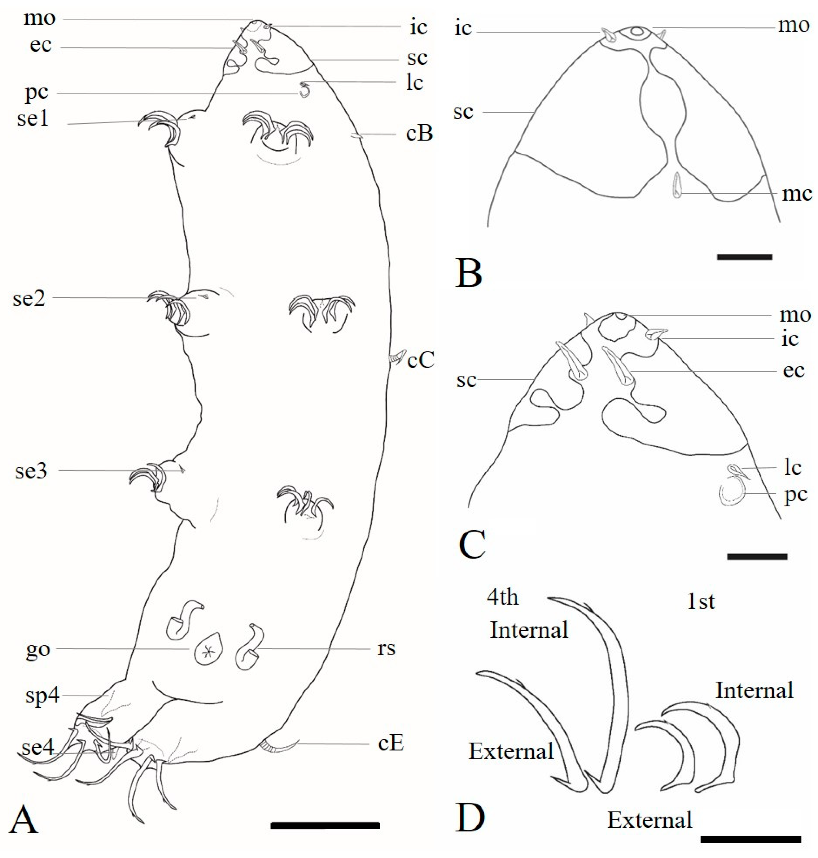 Diversity 12 00063 g002 Diversity 12 00063 g002