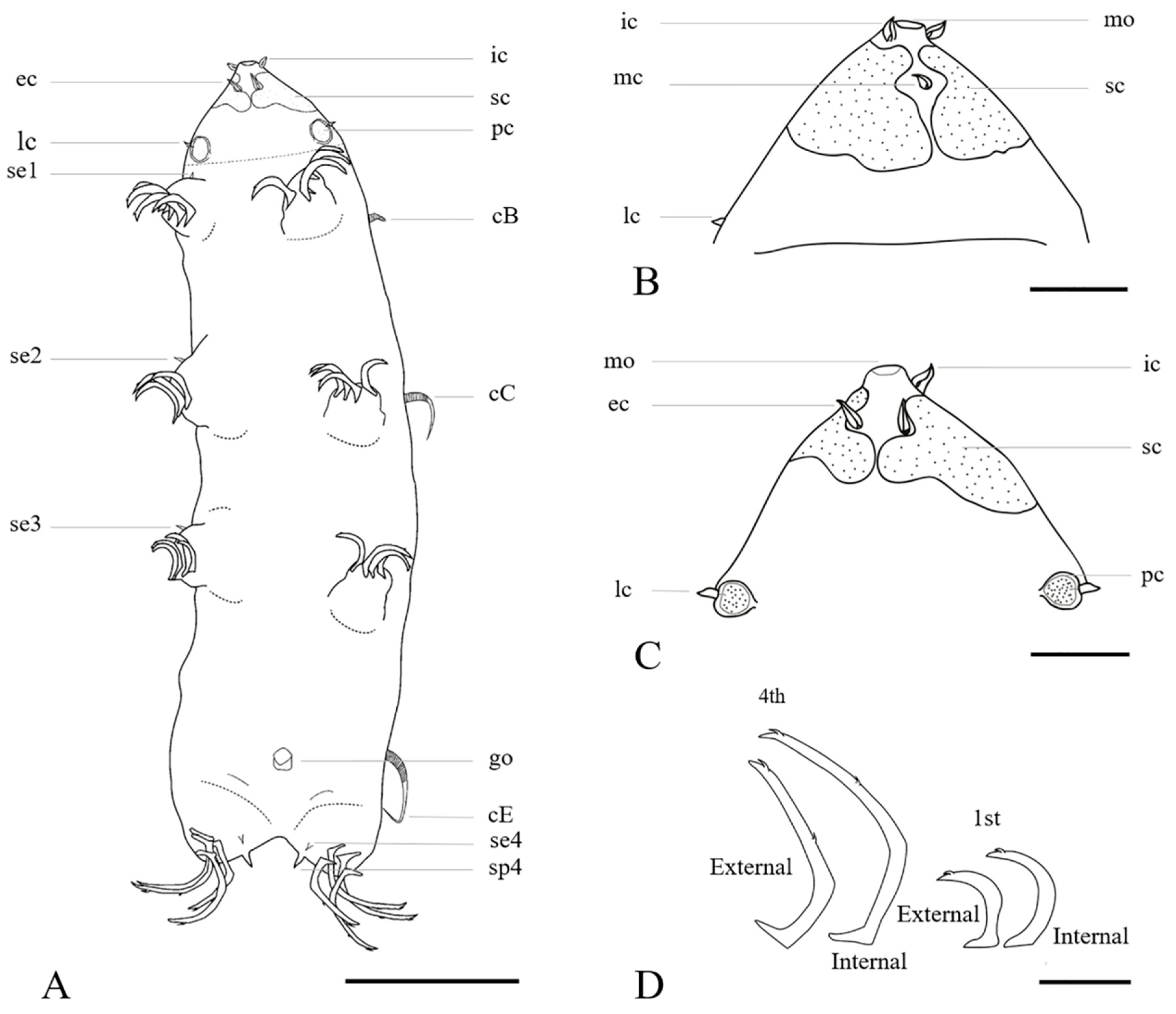 Diversity 12 00063 g009 Diversity 12 00063 g009