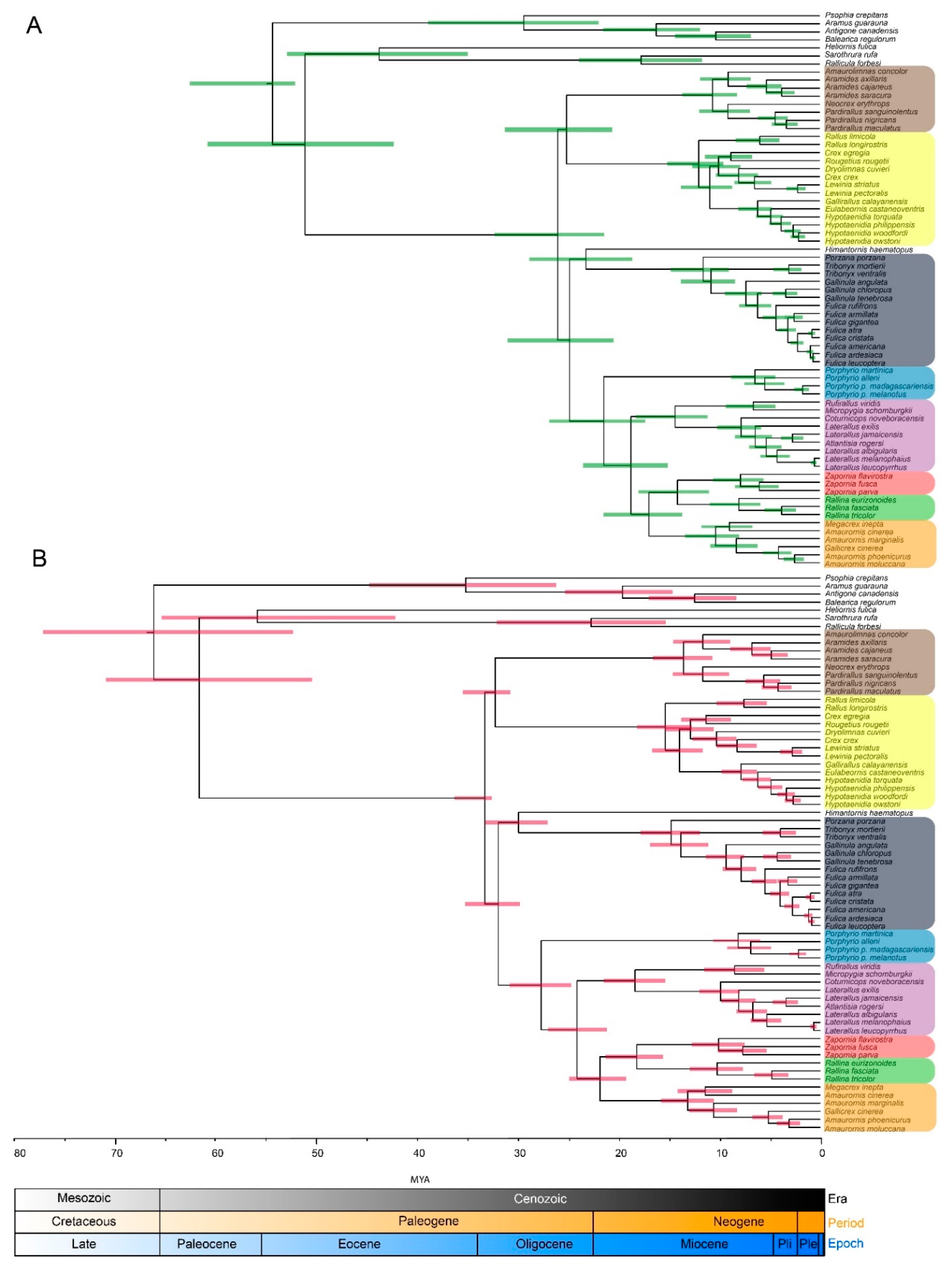 Diversity 12 00070 g002
