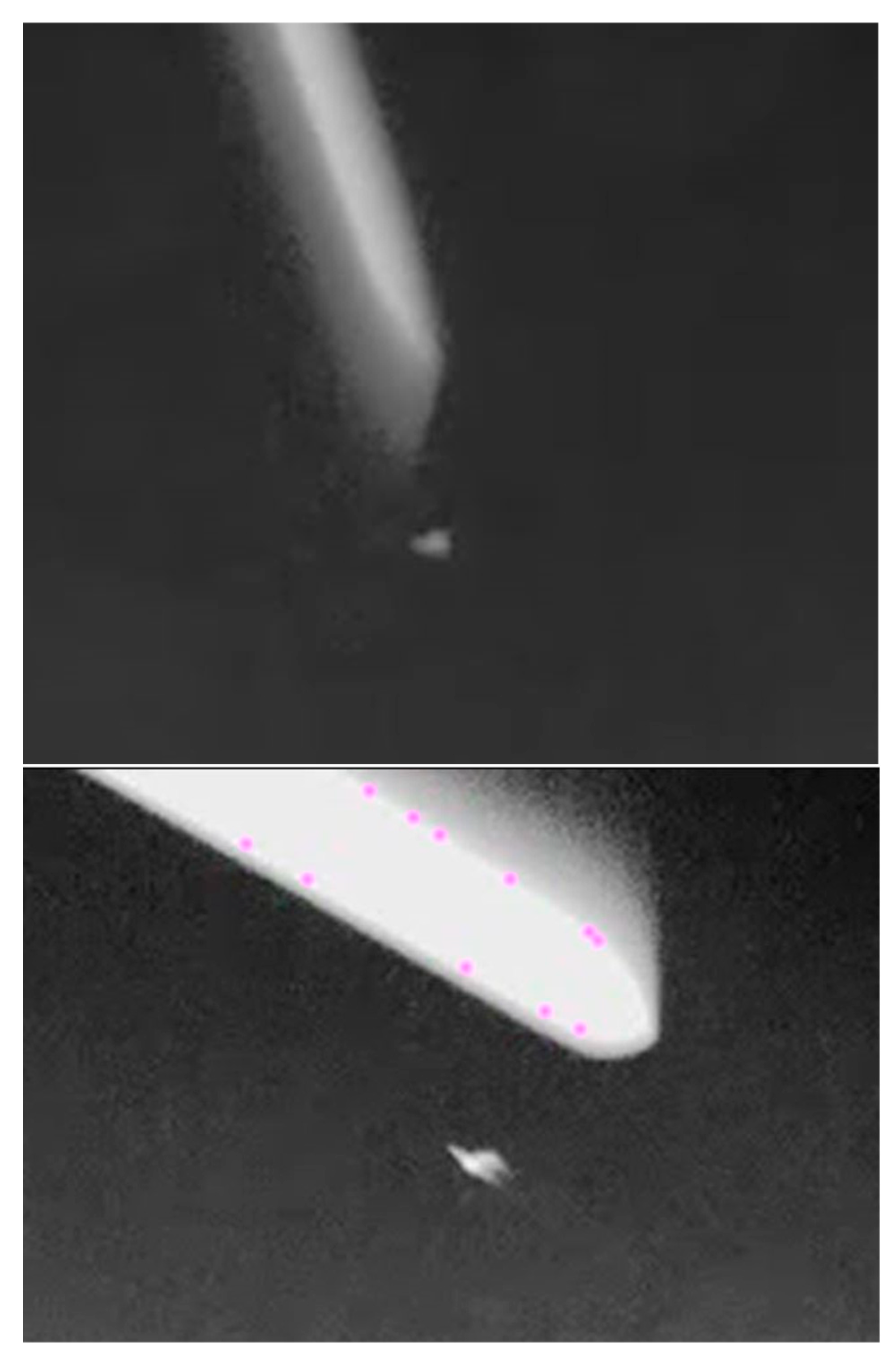 Diversity 12 00084 g004 Diversity 12 00084 g004