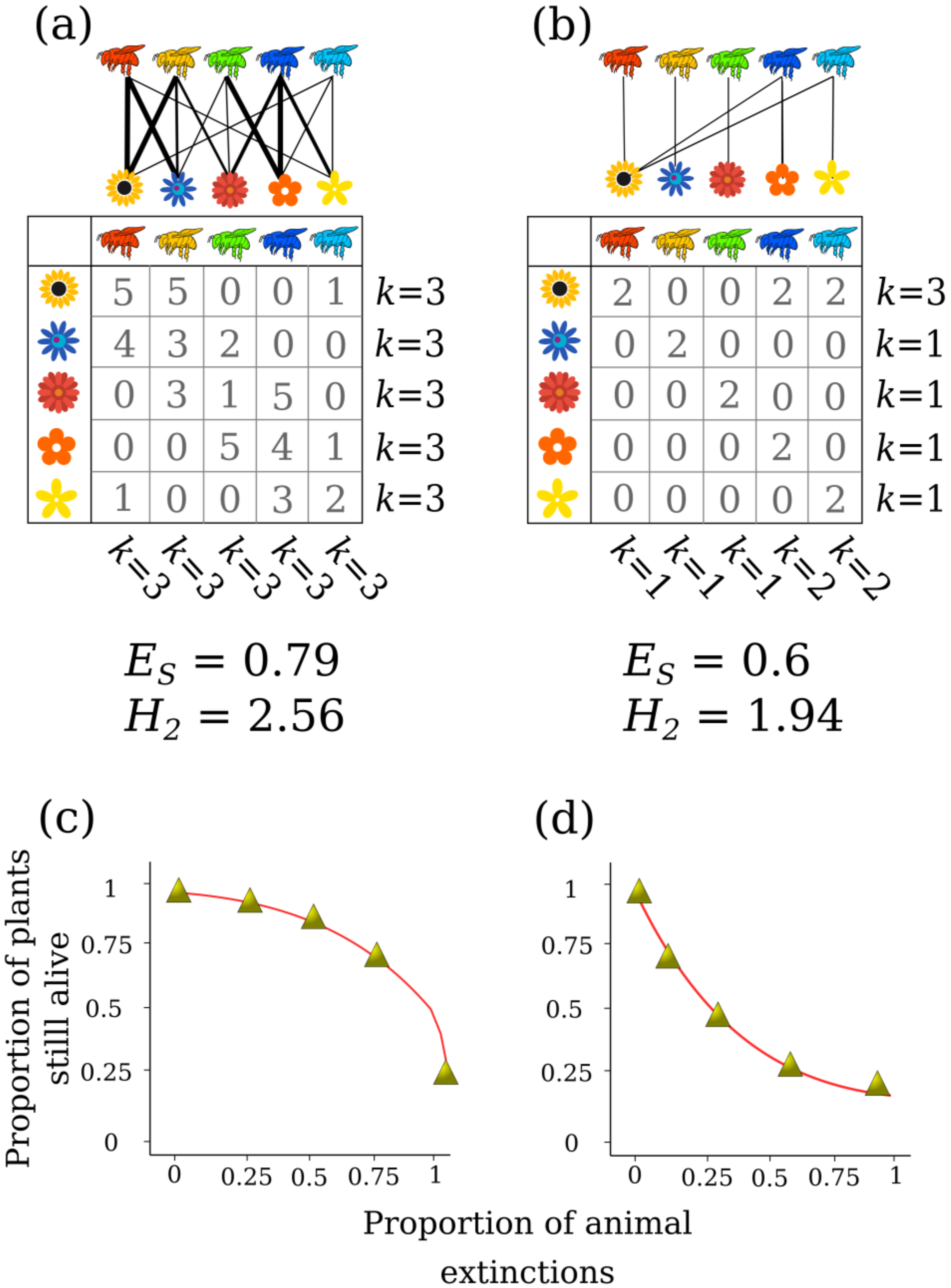 Diversity 12 00086 g002