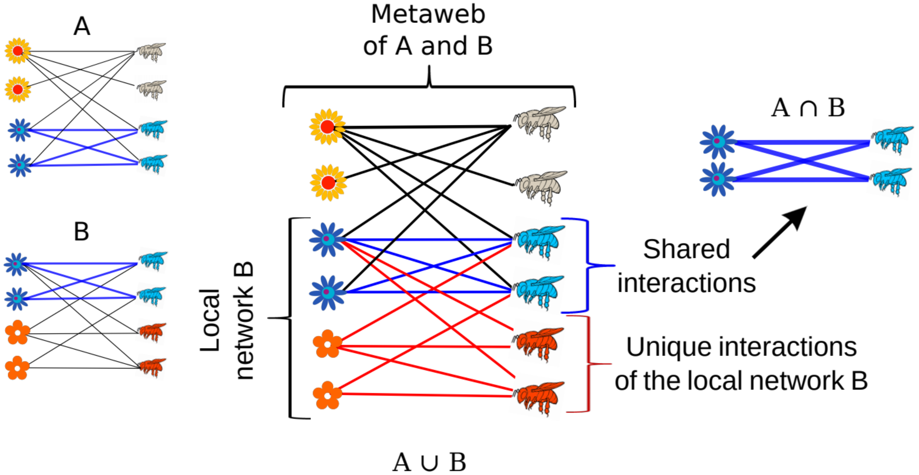 Diversity 12 00086 g004