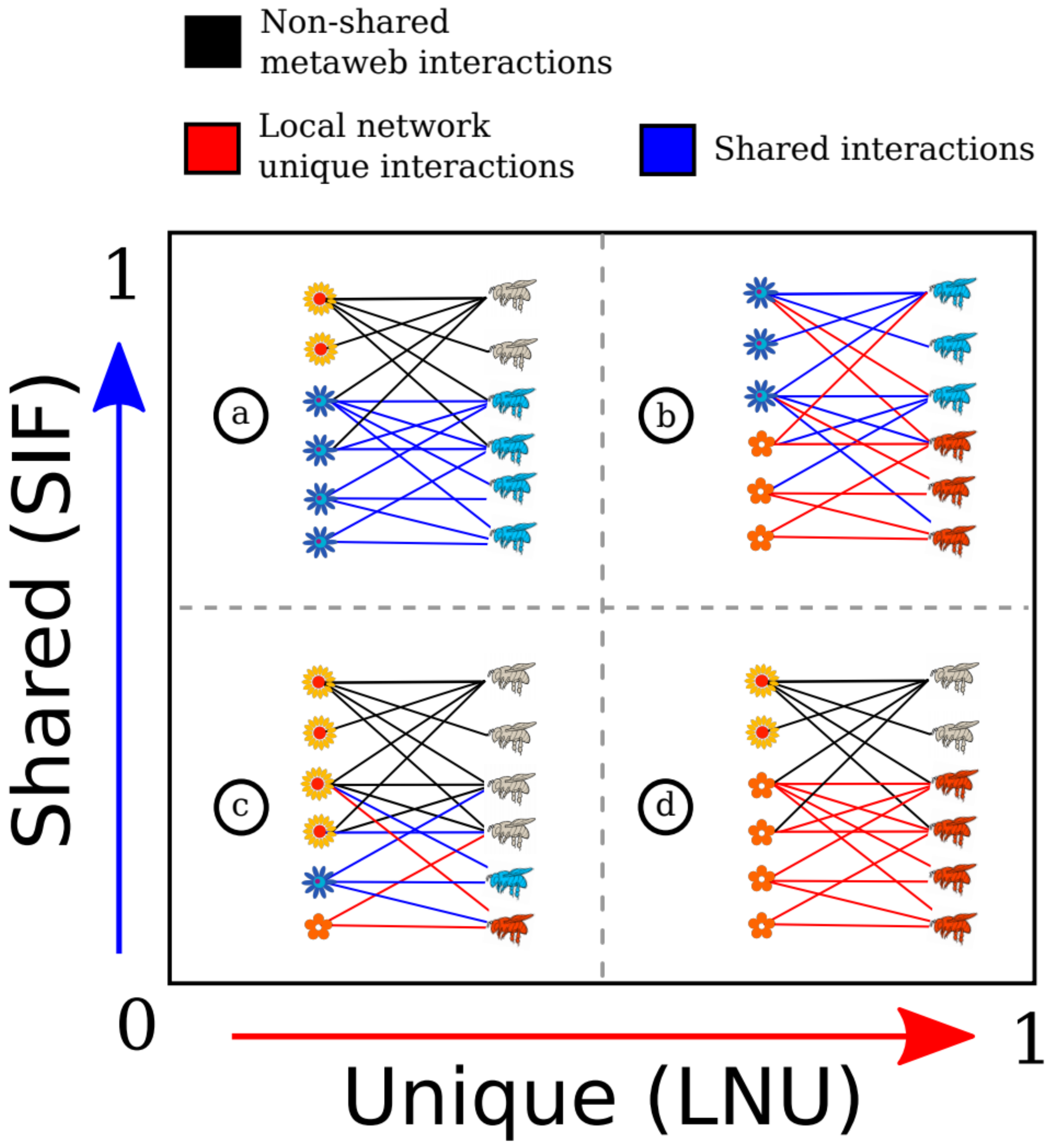 Diversity 12 00086 g005