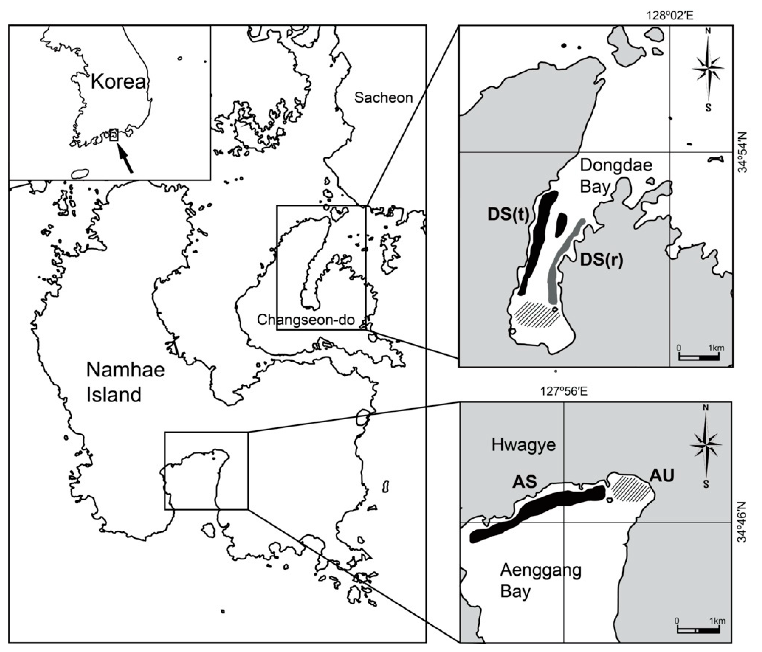 Diversity 12 00089 g001