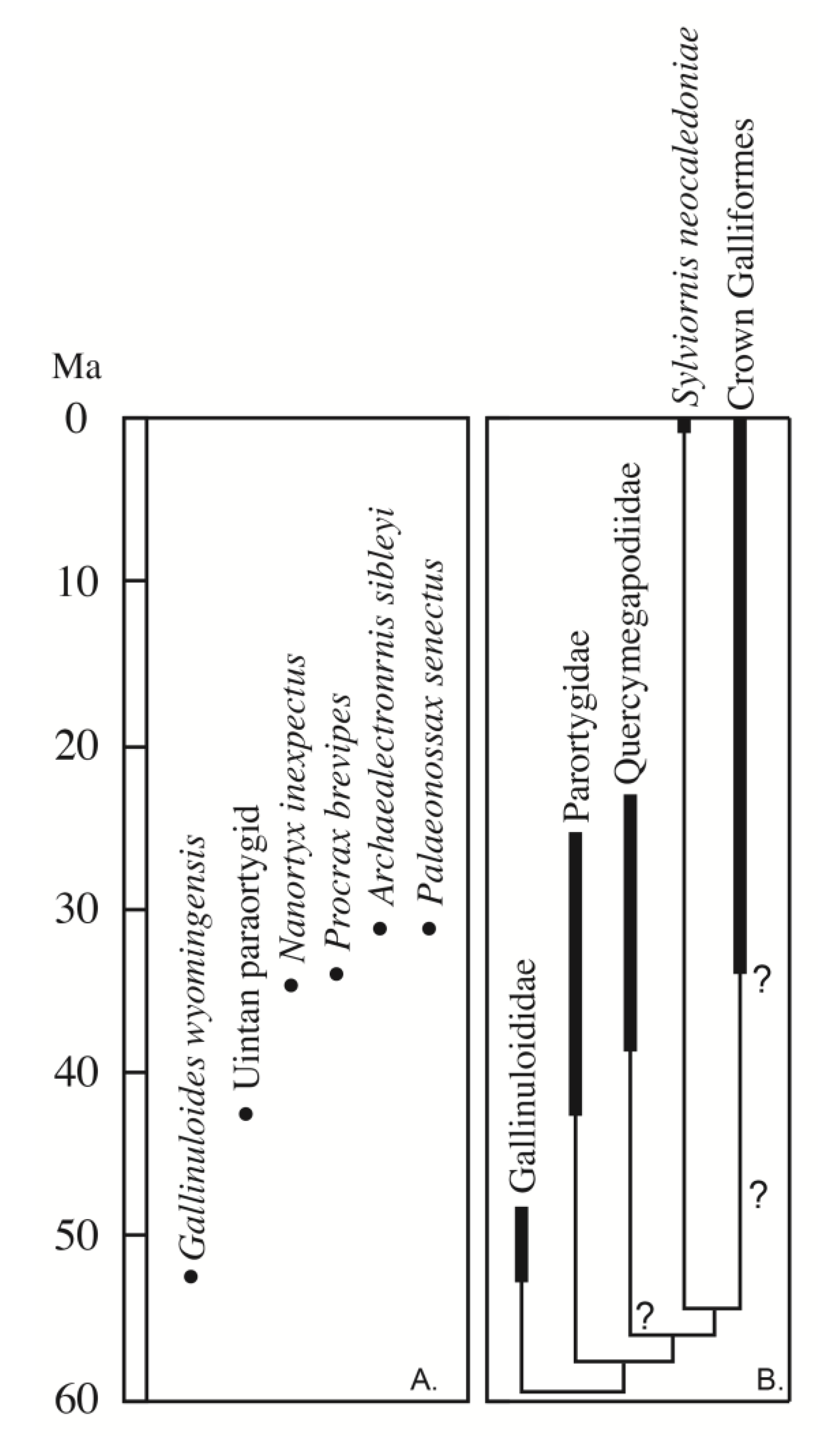 Diversity 12 00090 g001