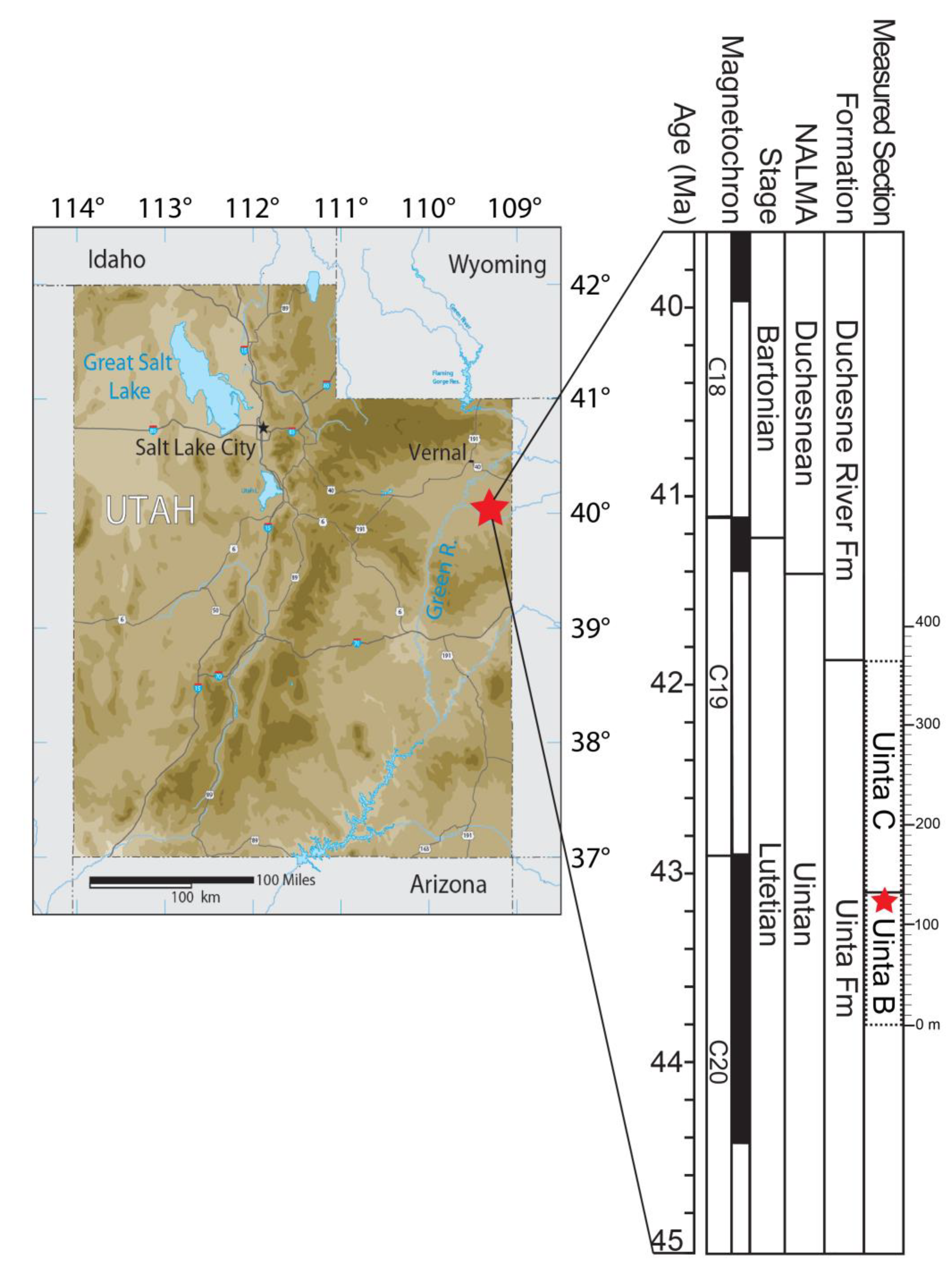 Diversity 12 00090 g002