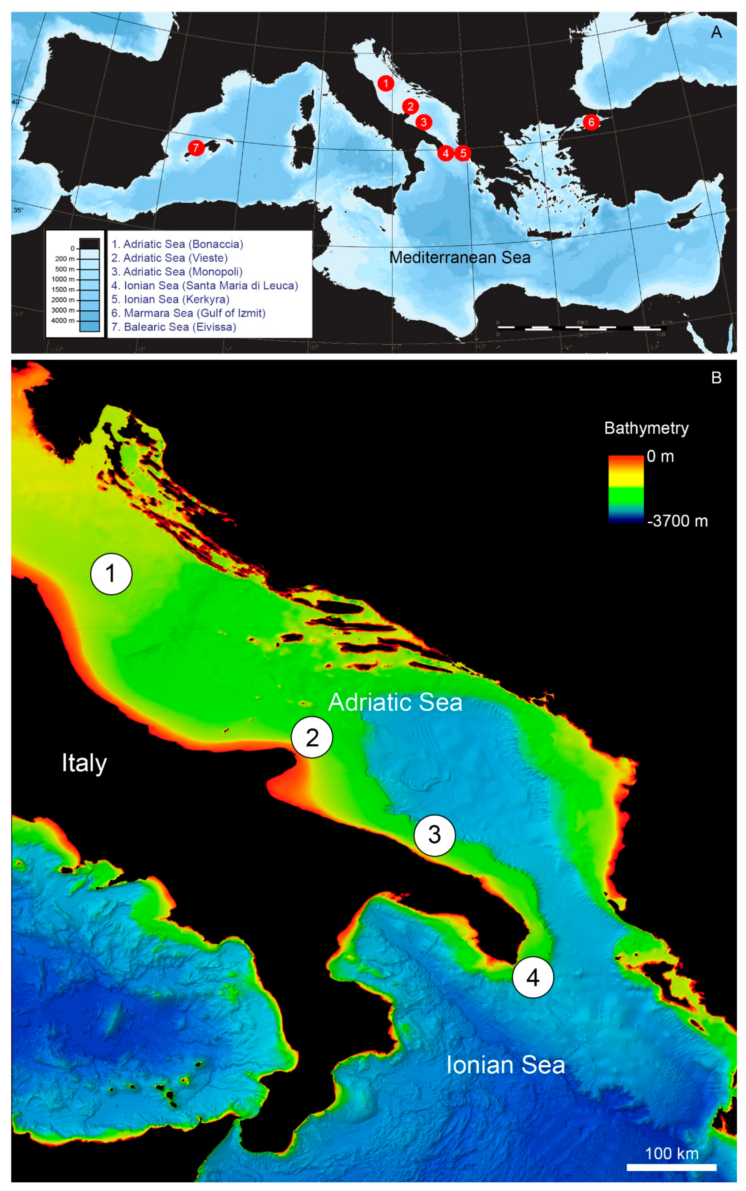 Diversity 12 00092 g001 Diversity 12 00092 g001
