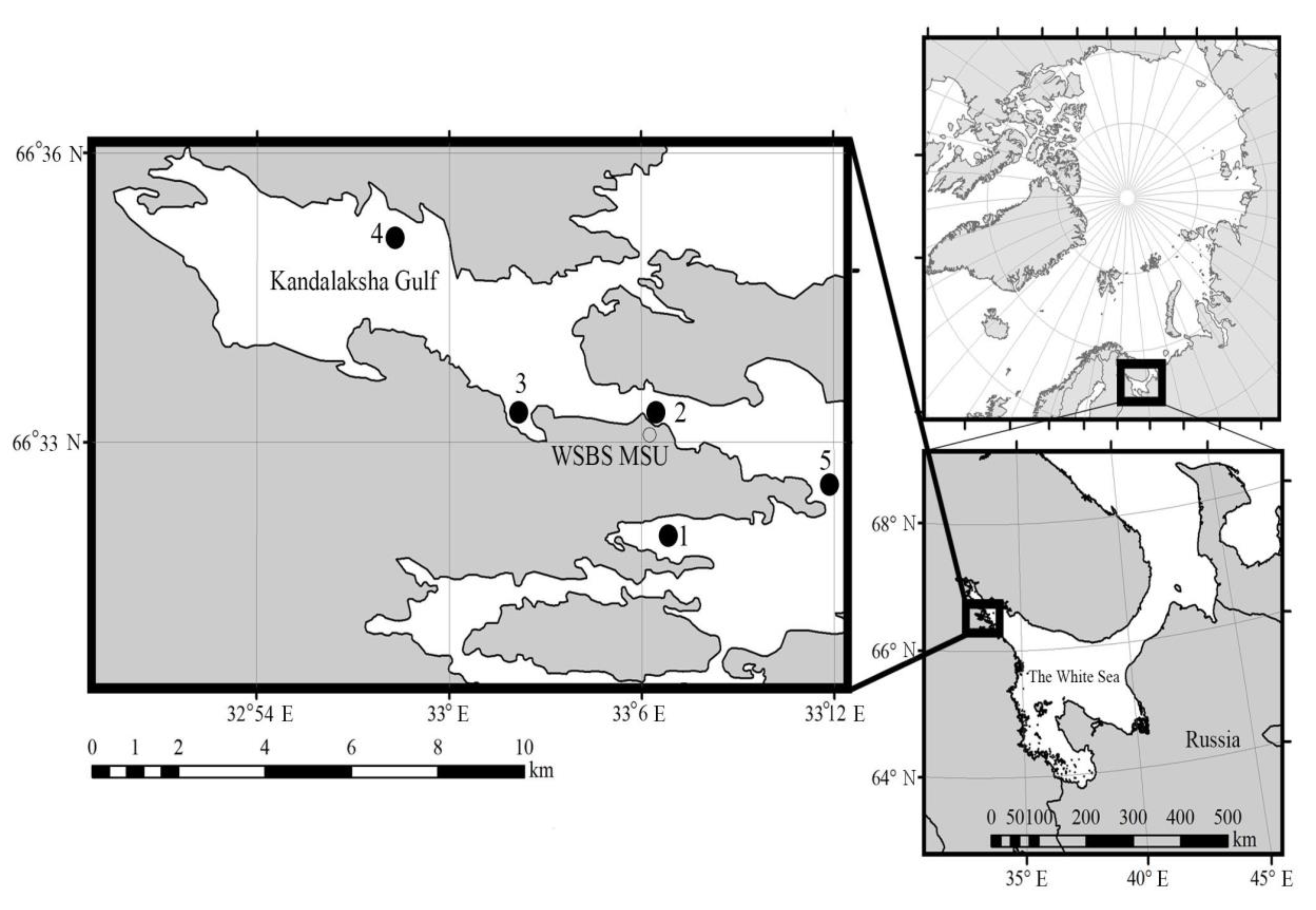Diversity 12 00093 g001 Diversity 12 00093 g001