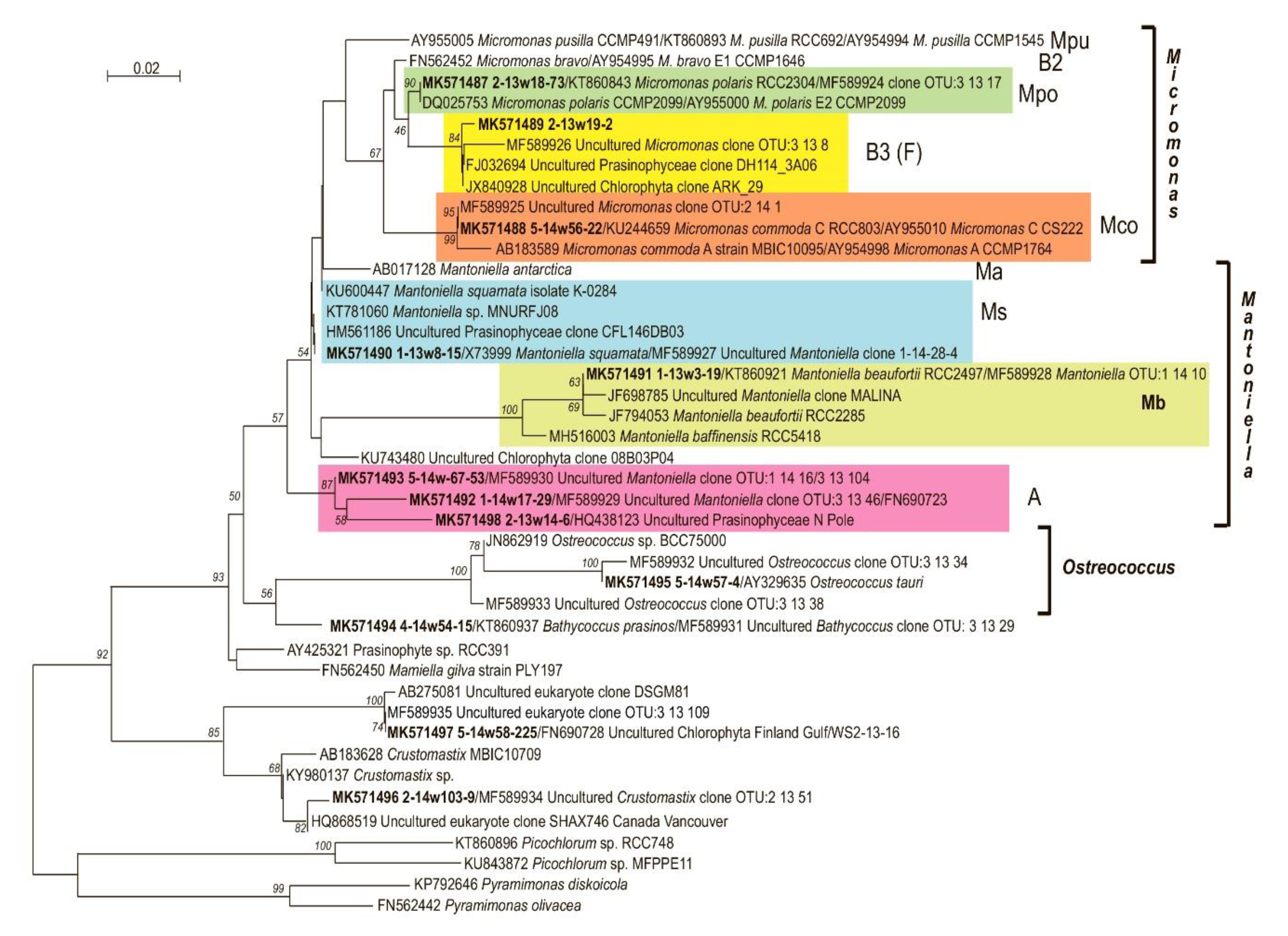 Diversity 12 00093 g003 Diversity 12 00093 g003