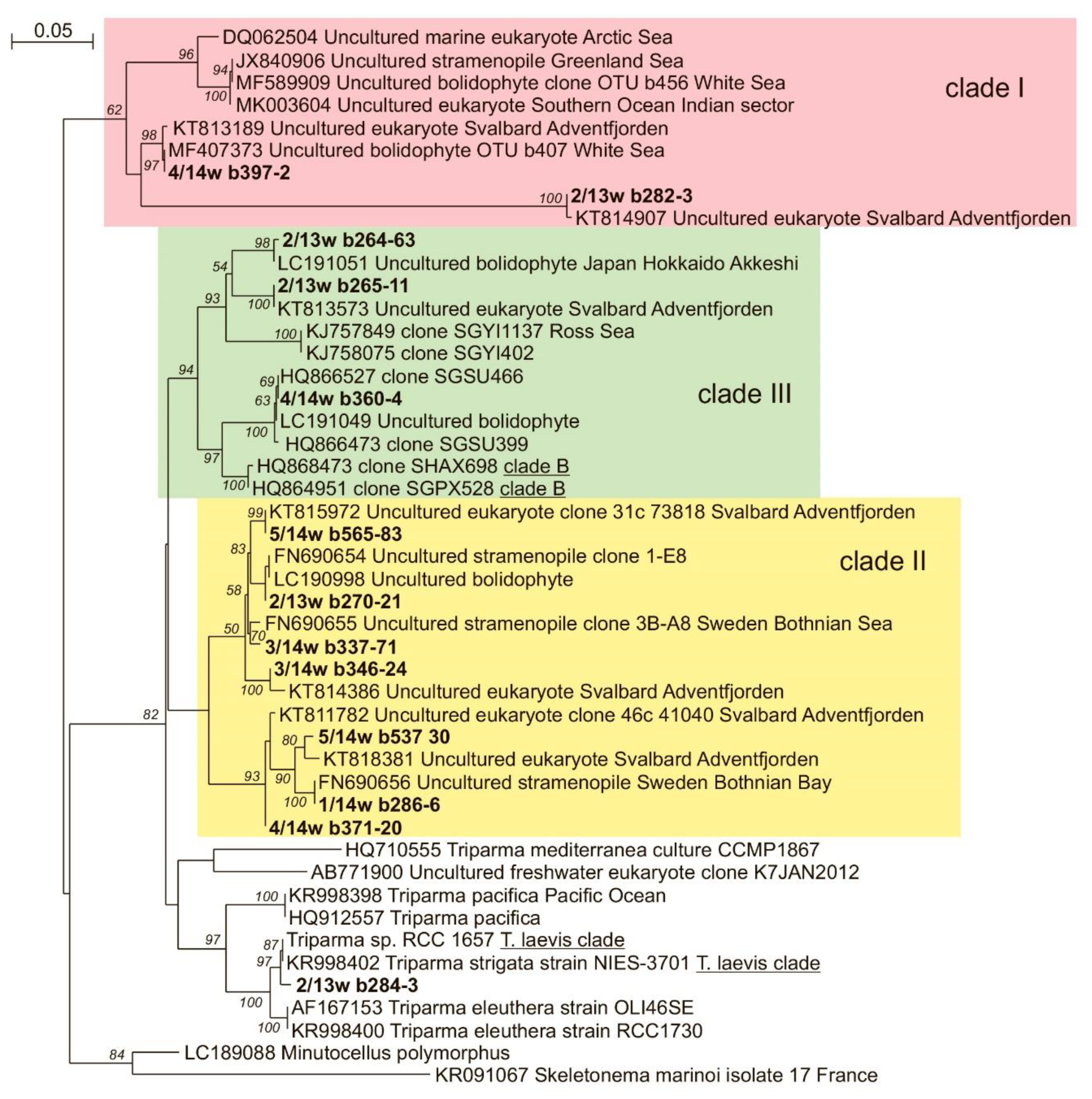 Diversity 12 00093 g005 Diversity 12 00093 g005