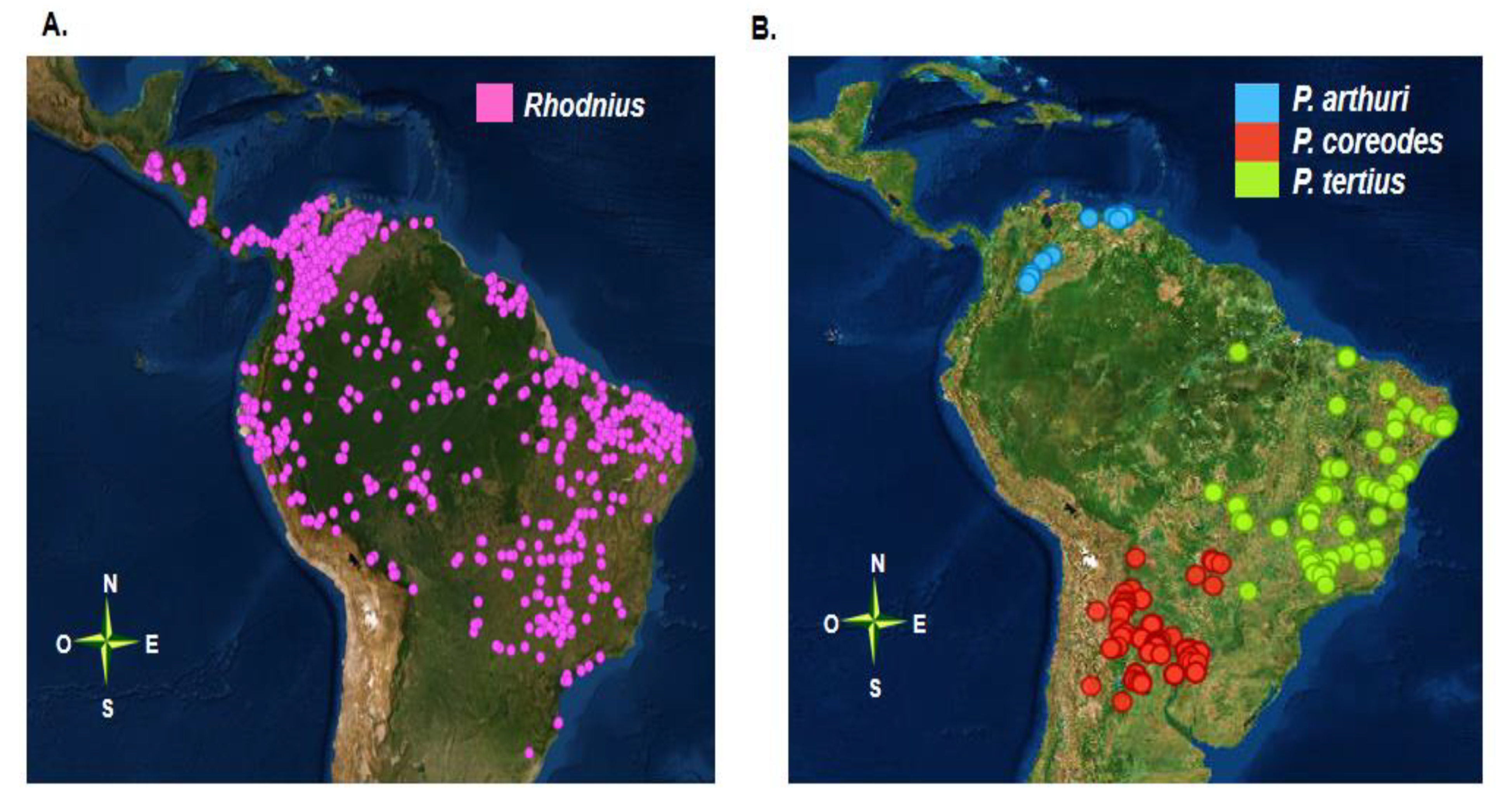 Diversity 12 00097 g001 Diversity 12 00097 g001