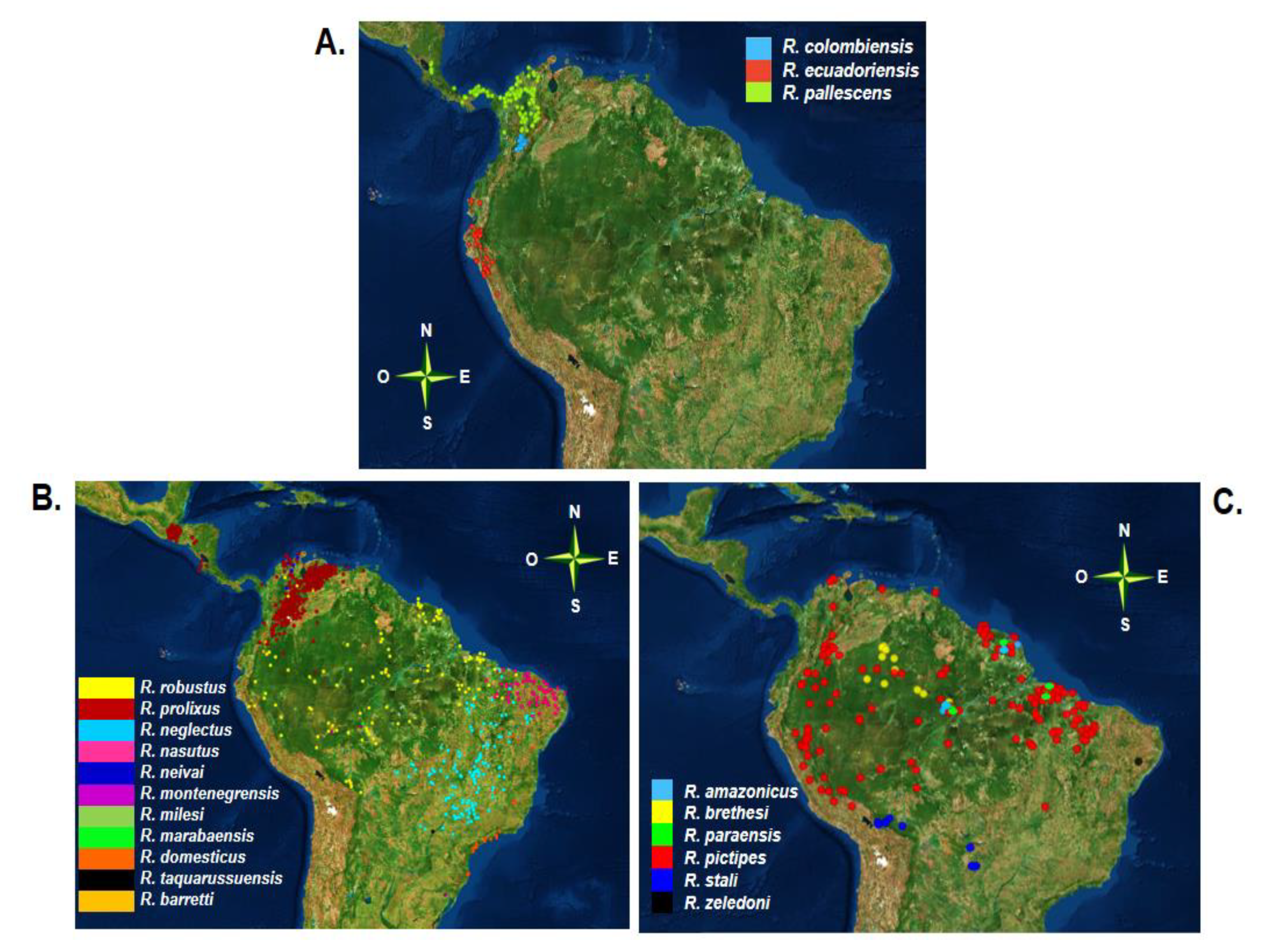 Diversity 12 00097 g002 Diversity 12 00097 g002