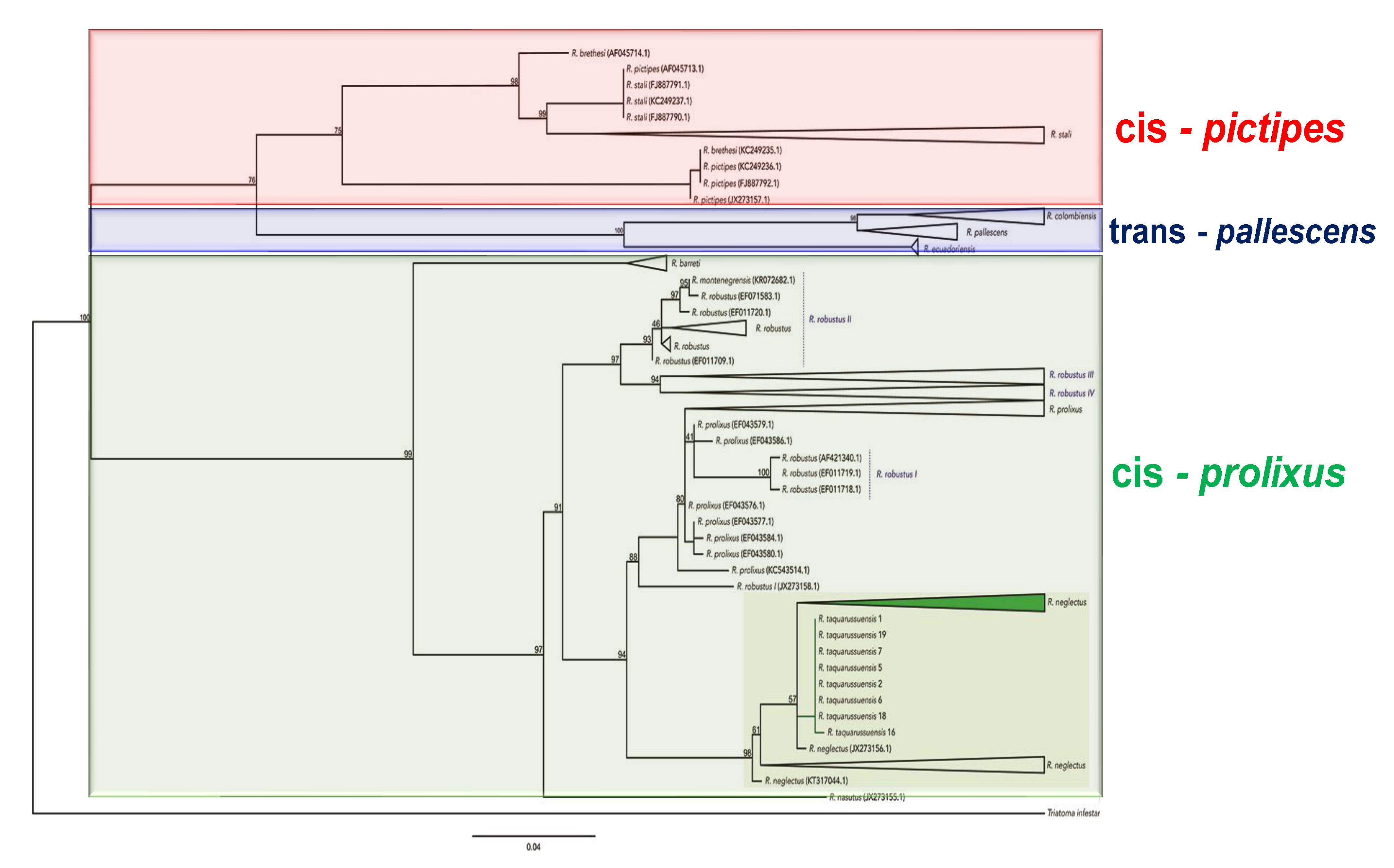 Diversity 12 00097 g005 Diversity 12 00097 g005